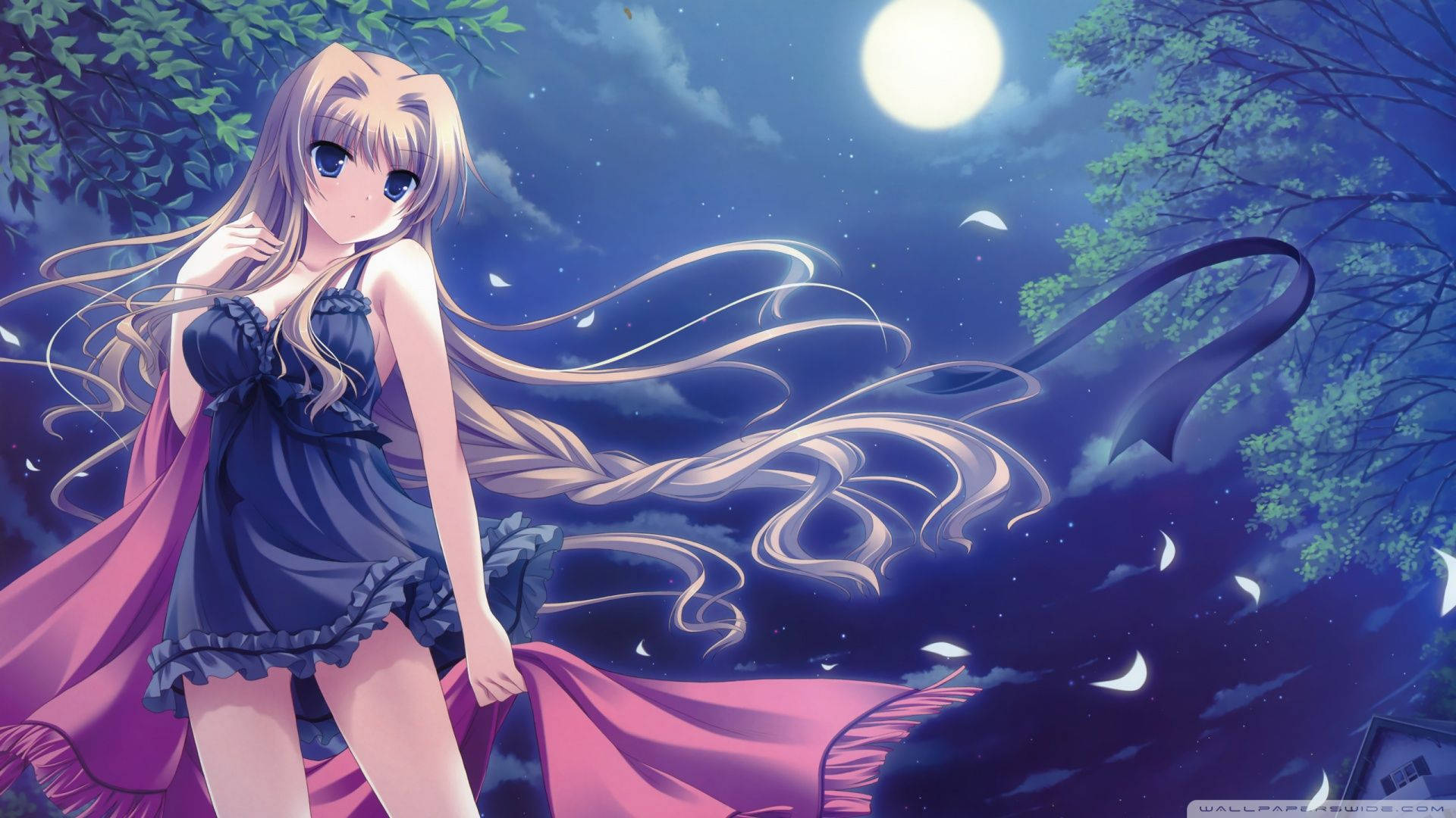 Seksi İç Çamaşırlı Anime Kızı Duvar Kağıdı