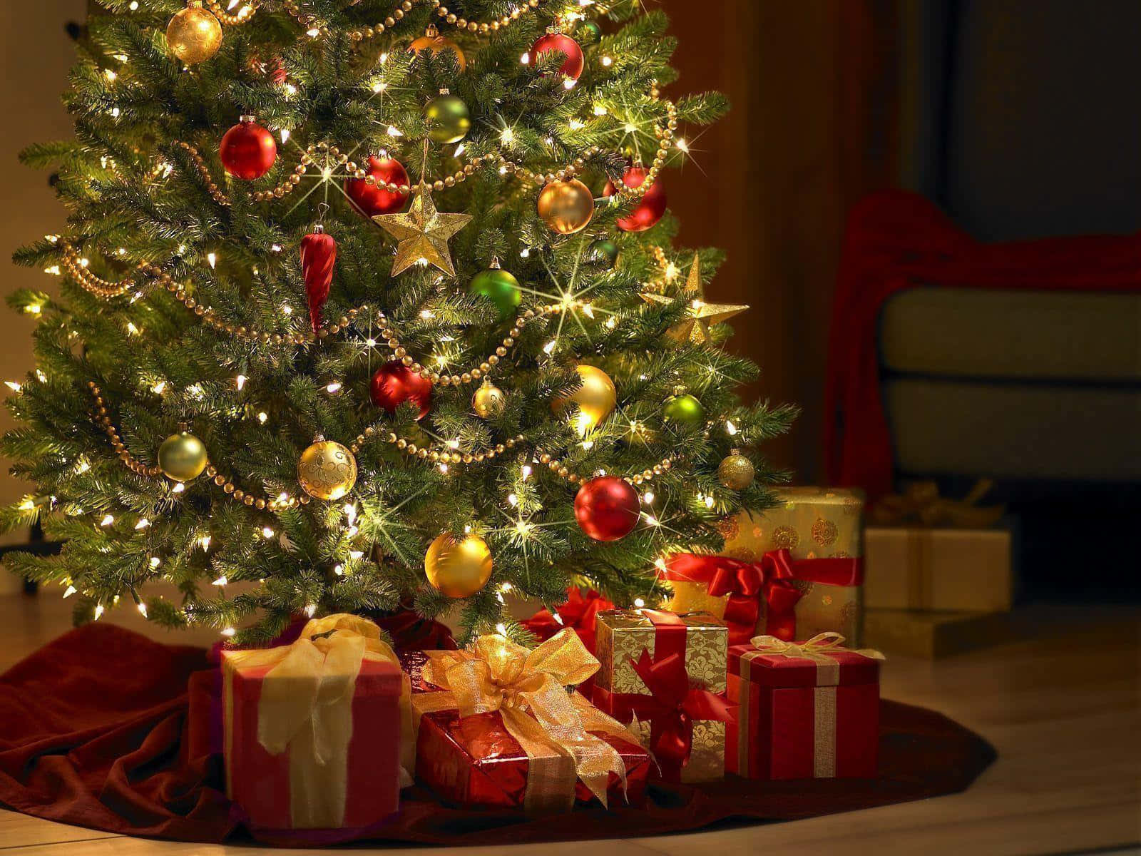 Şenlikli Noel Takım Arka Planı Duvar Kağıdı