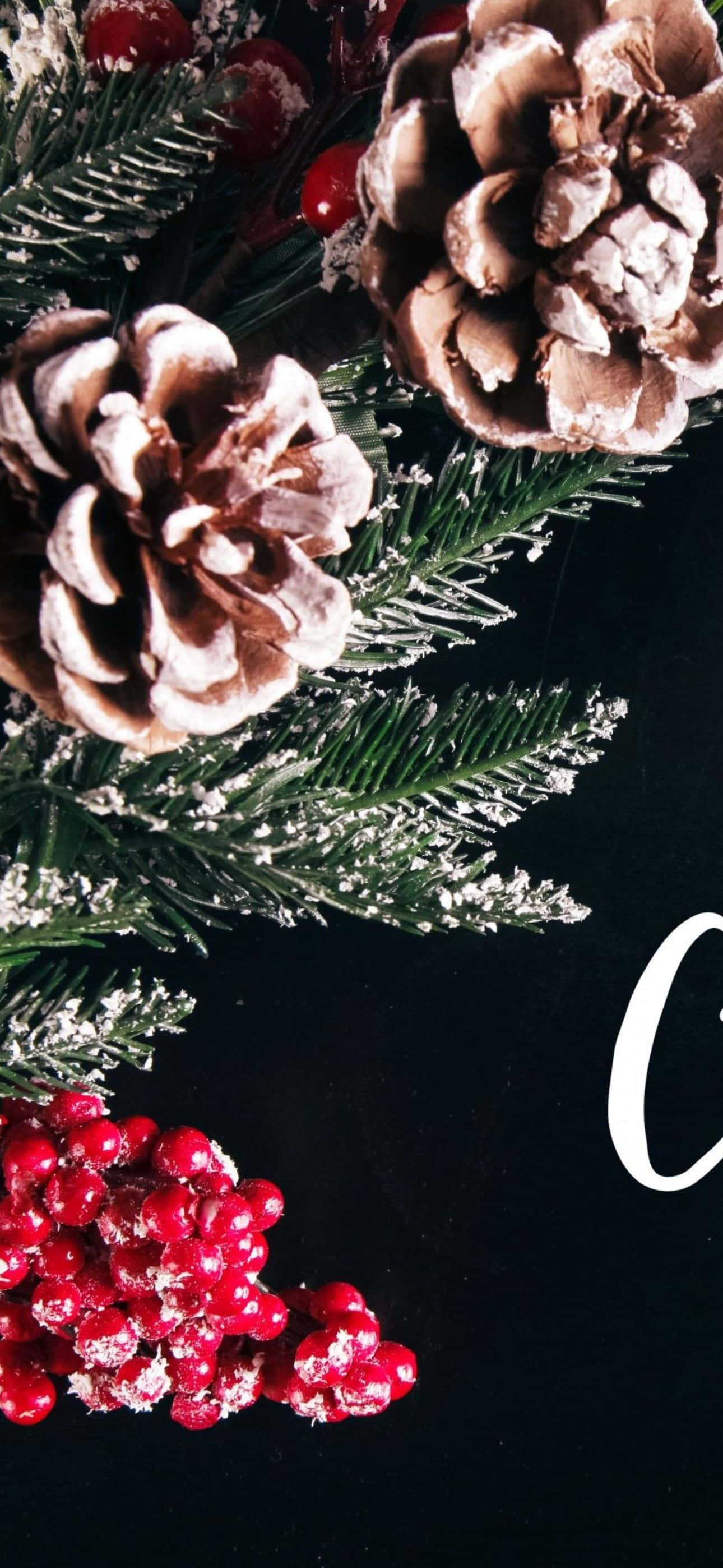 Şenlikli sezonu bu sevimli Noel temalı iPhone arka planıyla kutlayın Duvar Kağıdı
