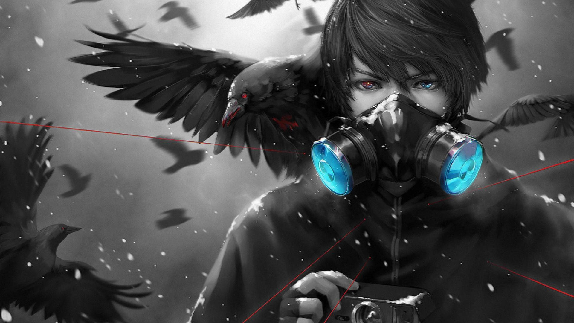Sert Anime Profil Fotoğrafı Karga ve Çocuk Duvar Kağıdı