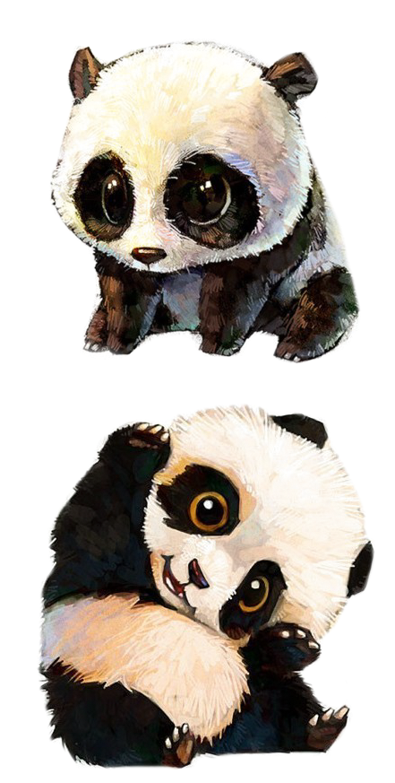 Sevimli Animasyonlu Panda Çifti Duvar Kağıdı