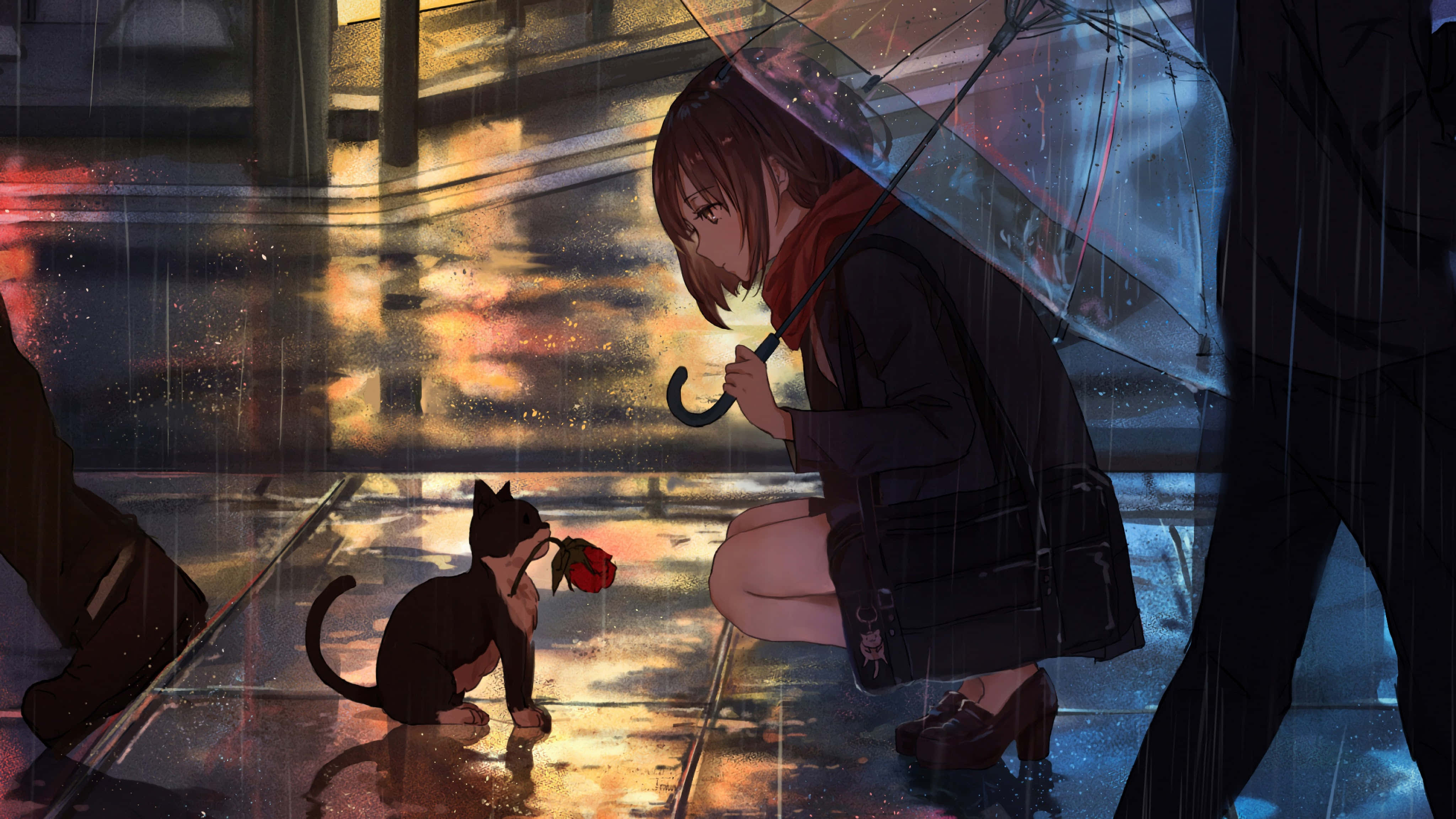 Sevimli Anime Kedisi Huzur İçinde Uyuyor Duvar Kağıdı