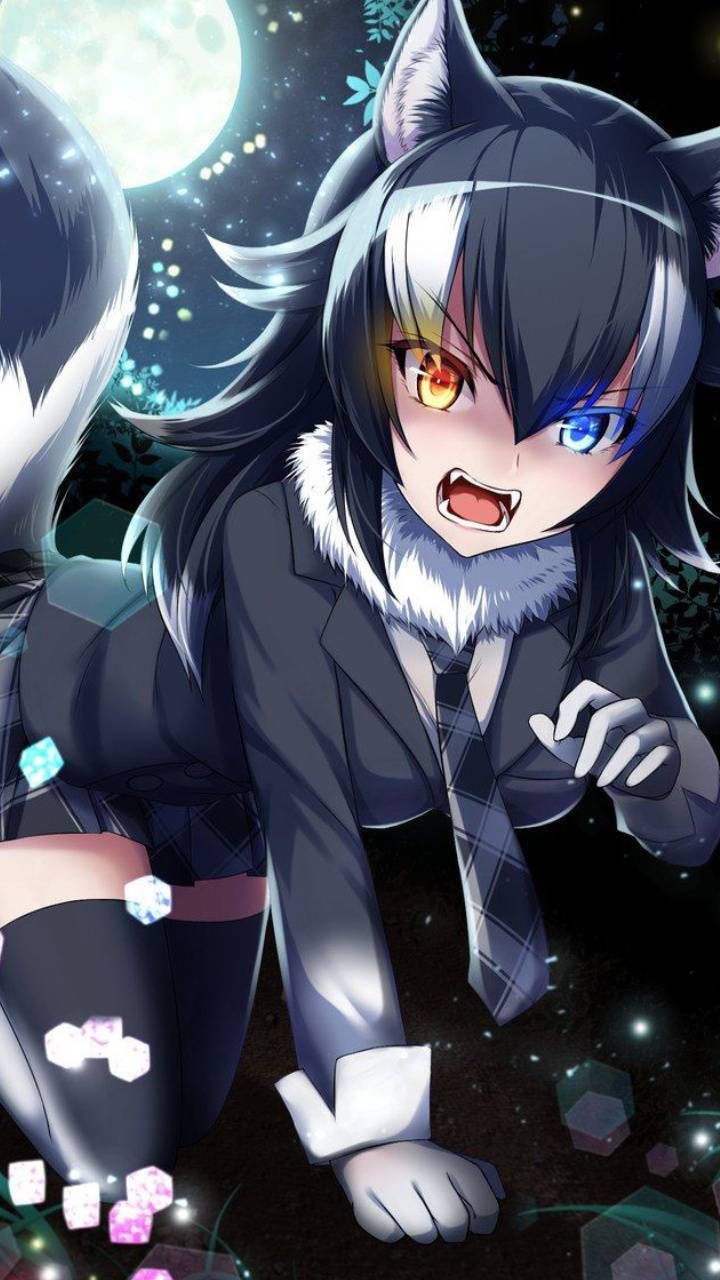 Sevimli Anime PFP Kurt Kız Duvar Kağıdı
