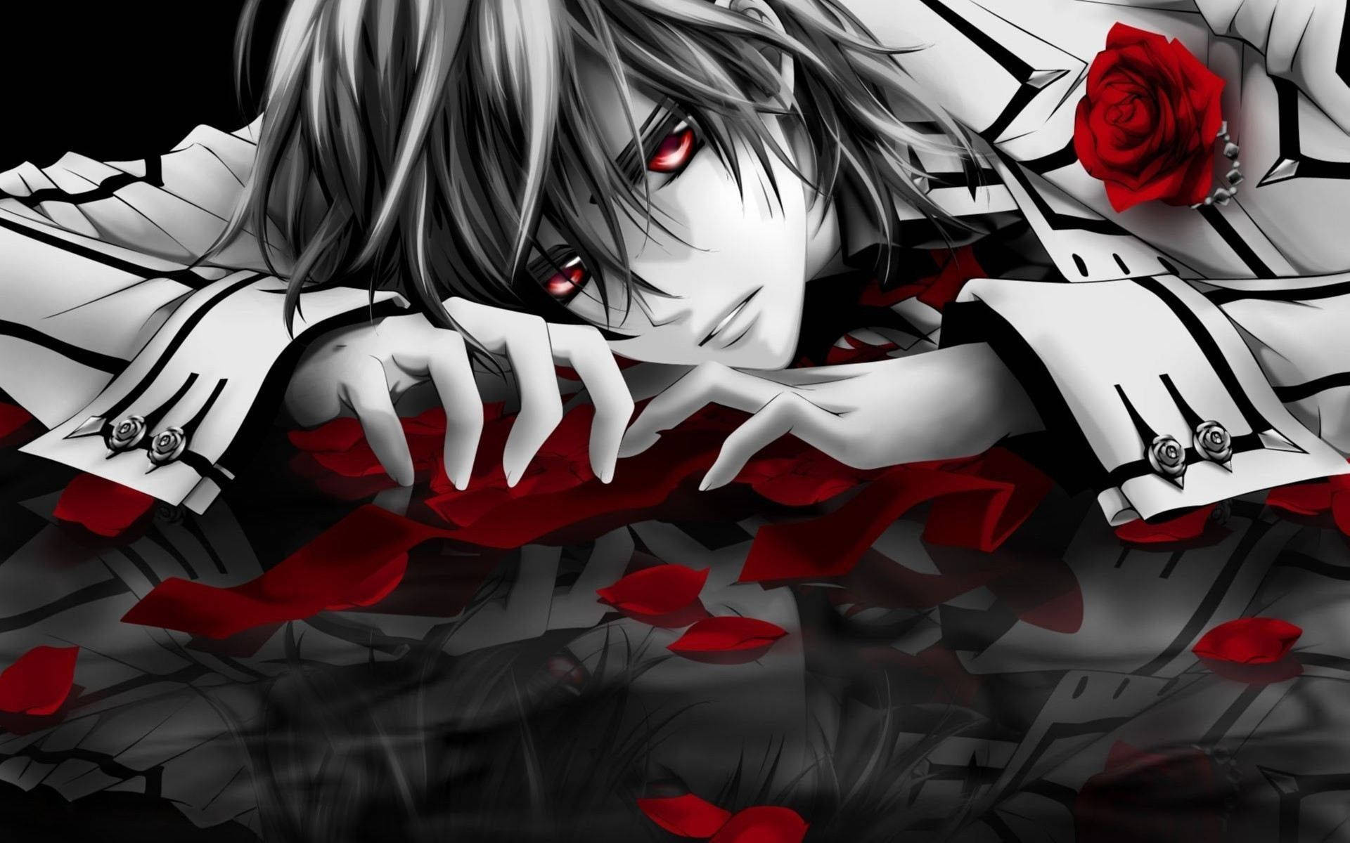 Sevimli Anime PFP Vampir Şövalye Duvar Kağıdı