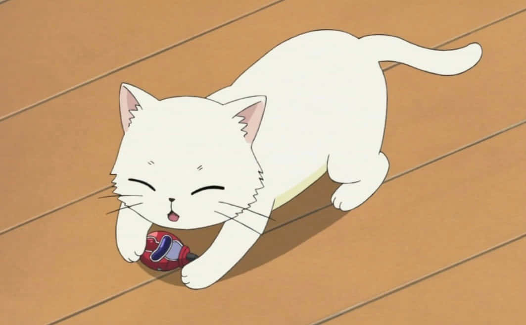 Sevimli Bir Anime Kedisi Maceraya Çıkıyor Duvar Kağıdı