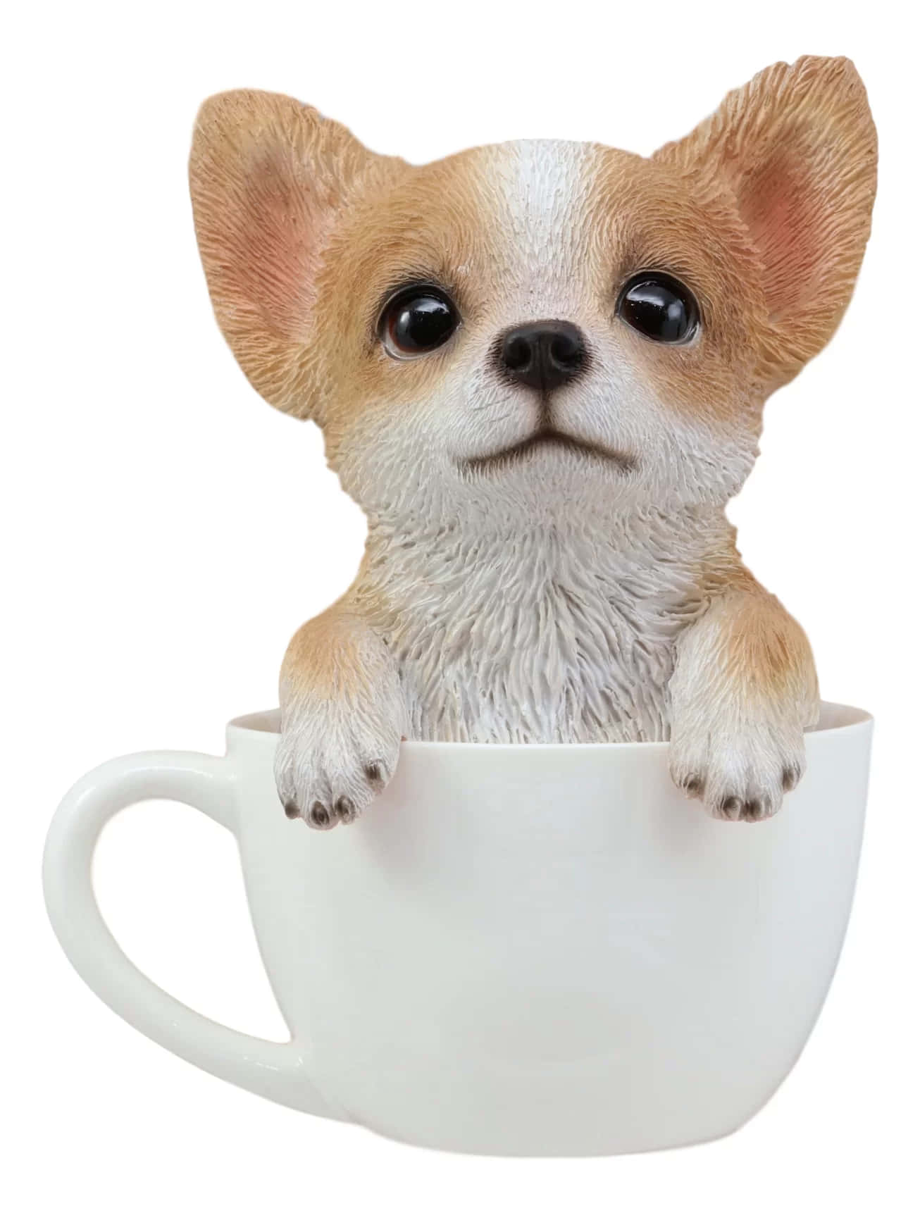 "Sevimli Bir Fincan Chihuahua" Duvar Kağıdı