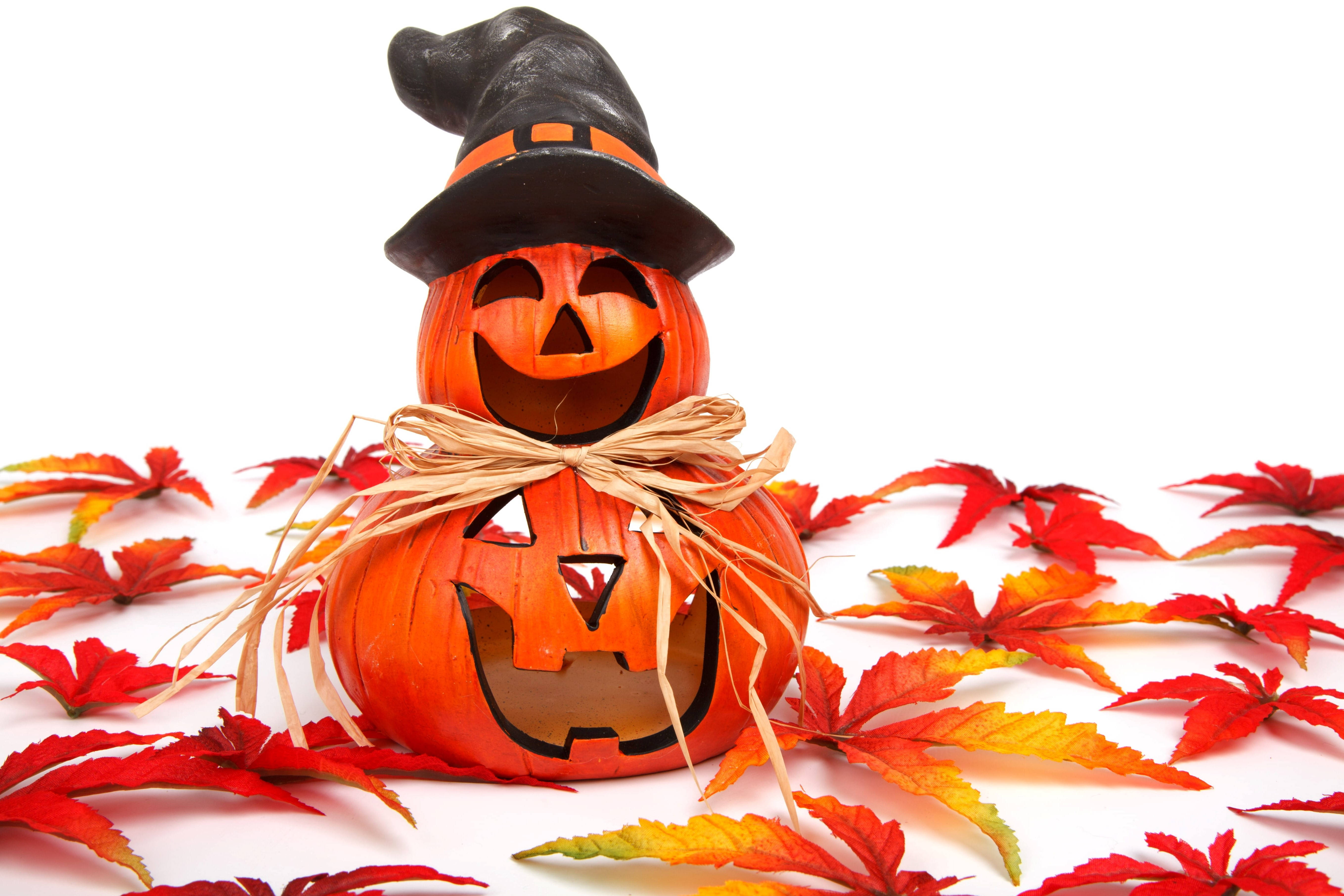 Sevimli Cadılar Bayramı Sonbahar Jack O' Lantern Duvar Kağıdı