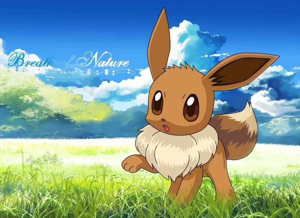 Sevimli Eevee Çimenlik Alanda Pokemon Duvar Kağıdı