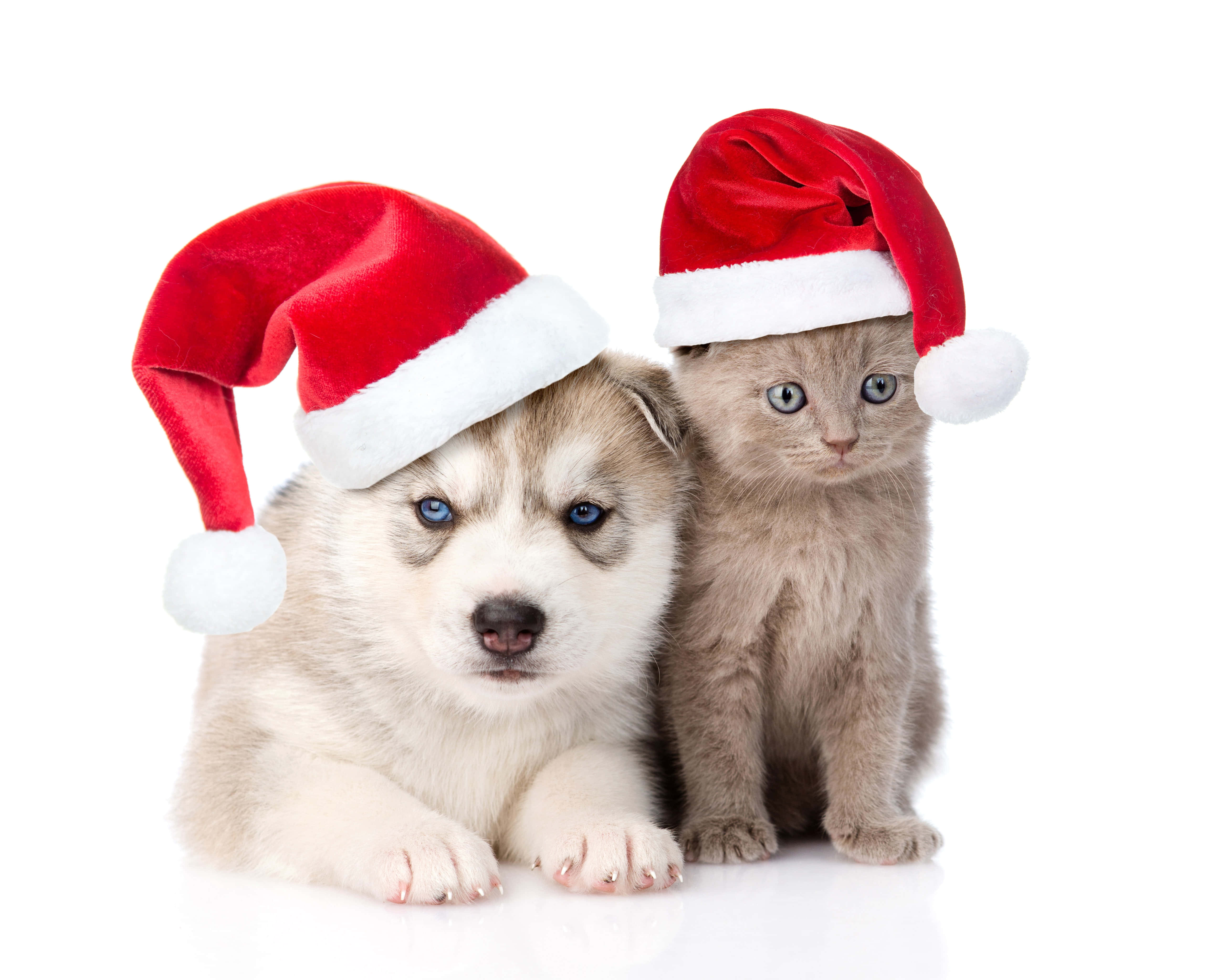 Sevimli Estetik Noel Resimleri Duvar Kağıdı