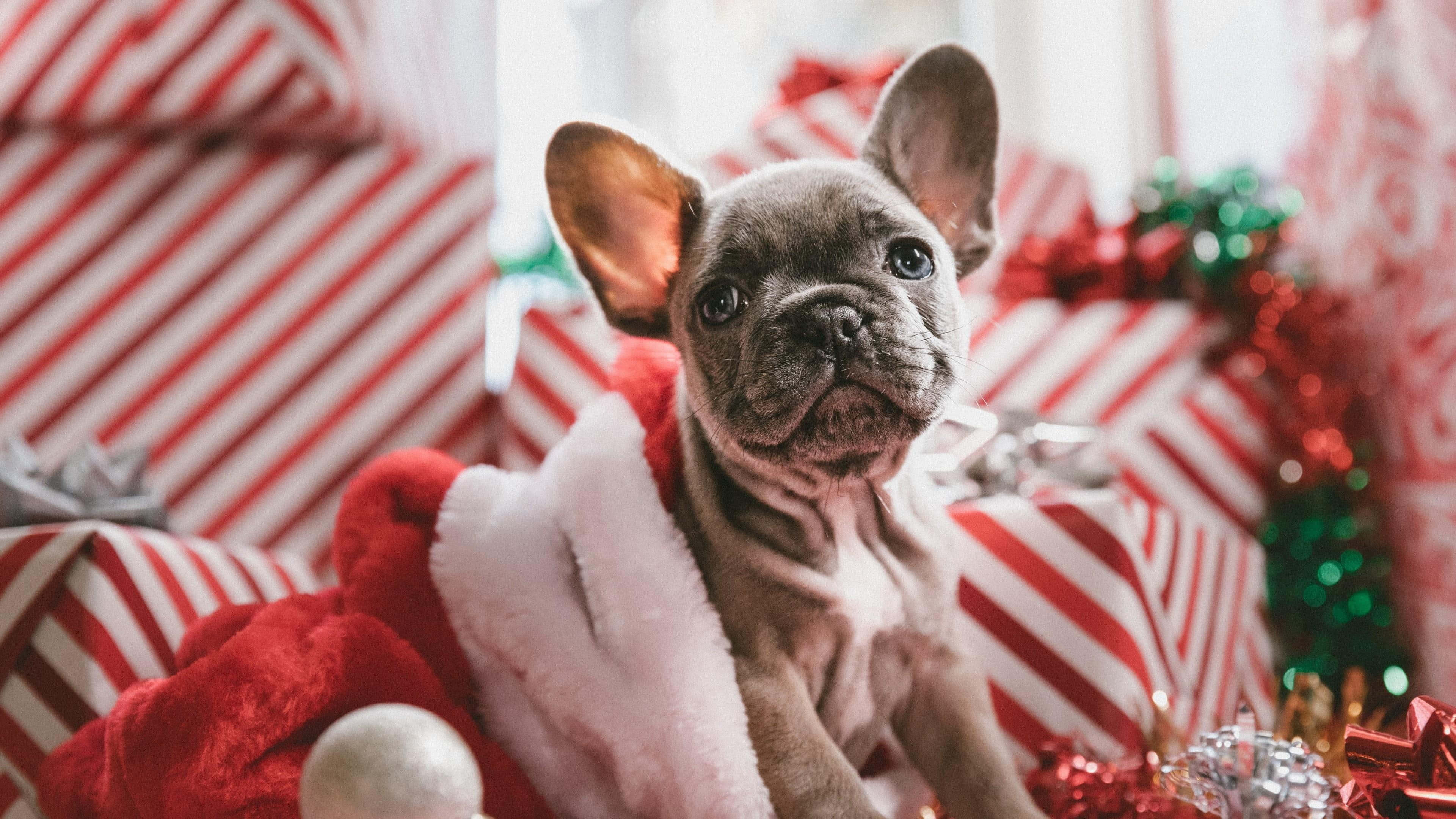 Sevimli Estetik Noel Resimleri Duvar Kağıdı