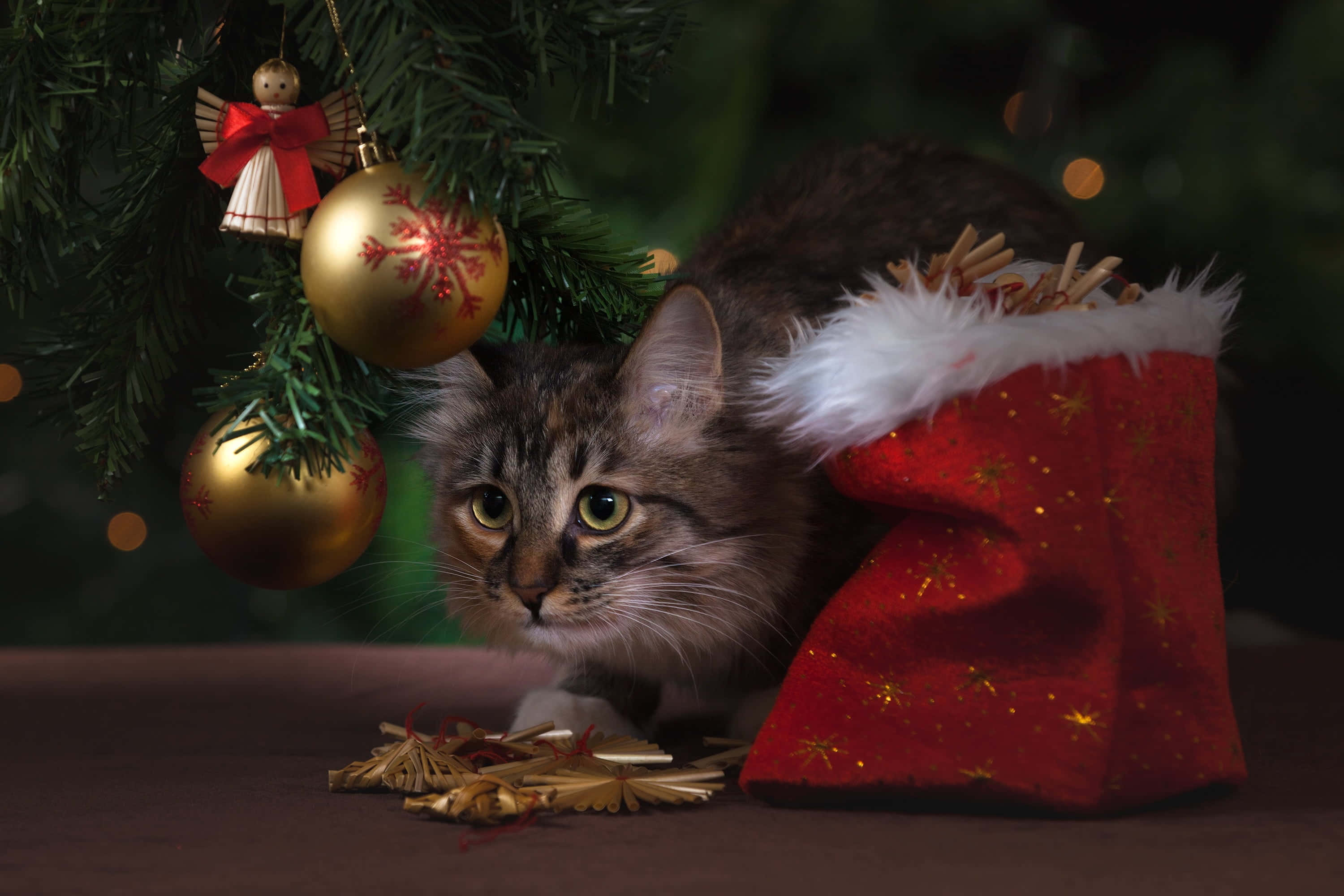 Sevimli Estetik Noel Resimleri Duvar Kağıdı