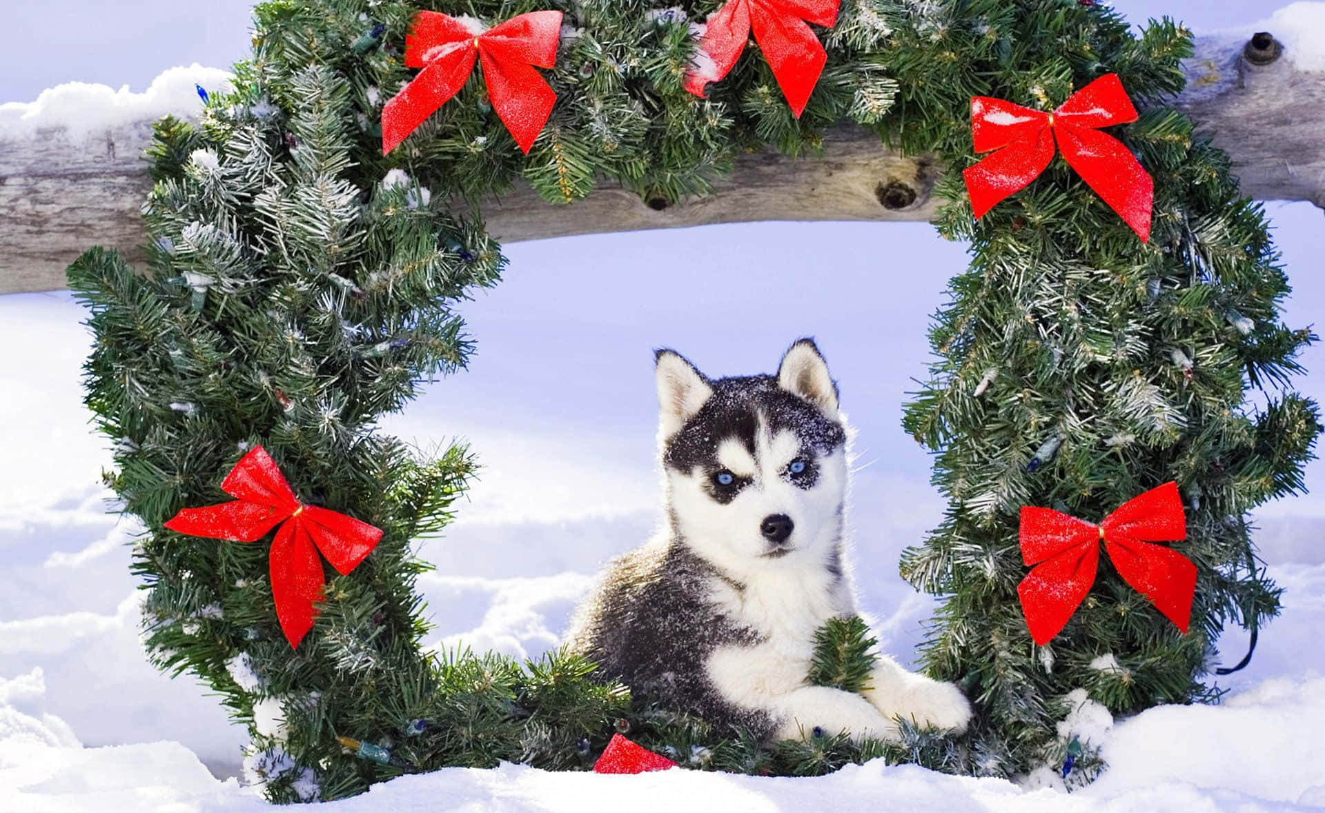 Sevimli Estetik Noel Resimleri Duvar Kağıdı