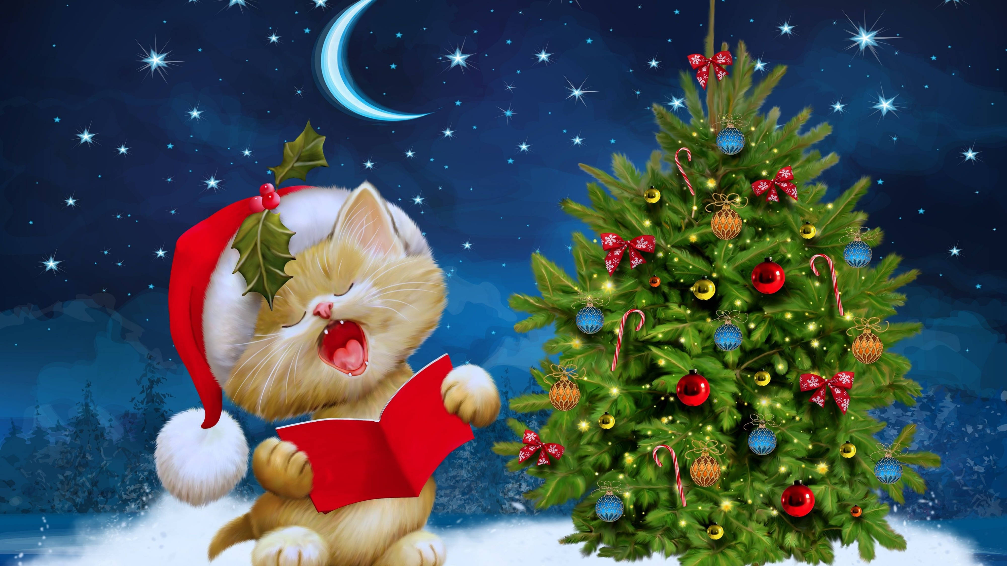 Sevimli kedi yavrusu, şenlikli Noel Baba şapkasıyla 4K Ultra HD'de Noel'i kutluyor. Duvar Kağıdı