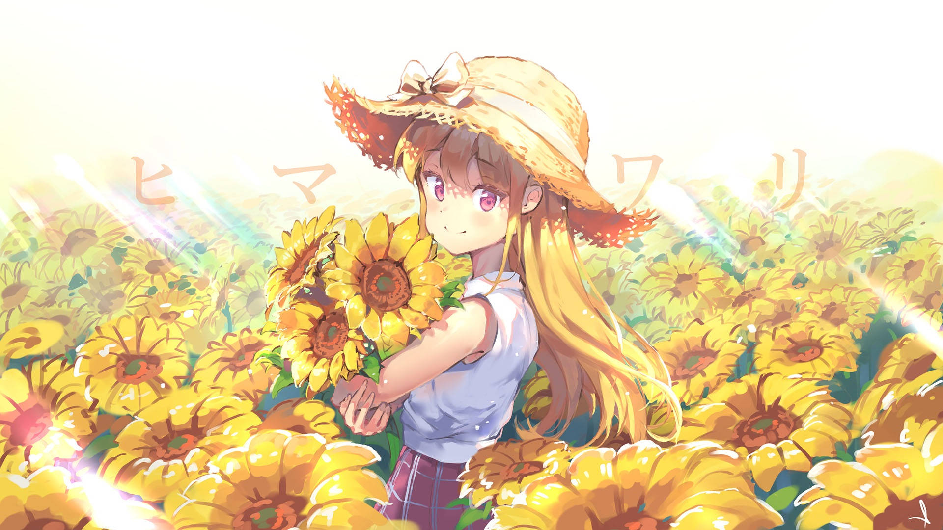 Sevimli Kız Anime Ayçiçeği Bahçesinde Duvar Kağıdı