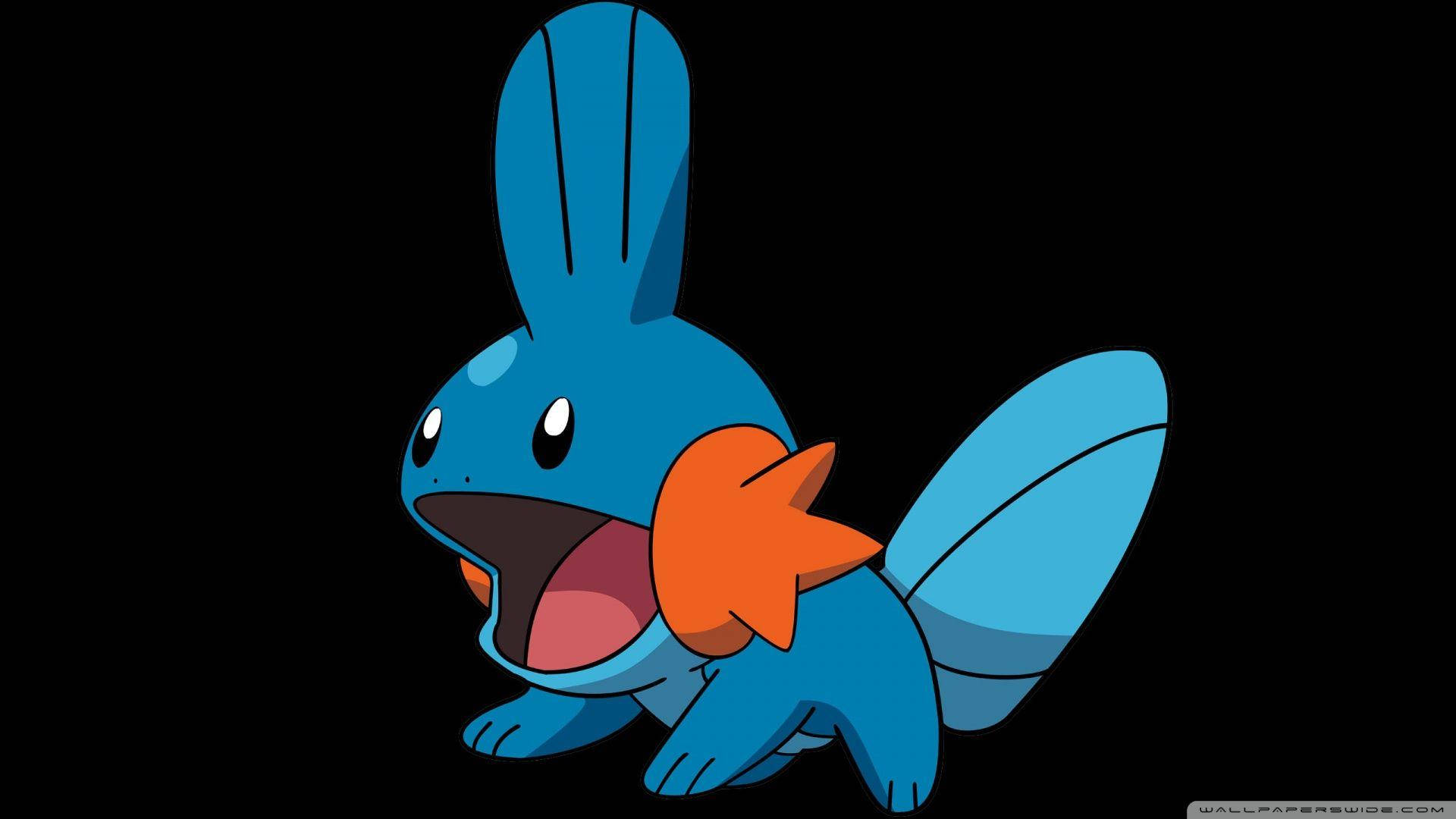 Sevimli Mudkip Pokemon Dünyasında Duvar Kağıdı