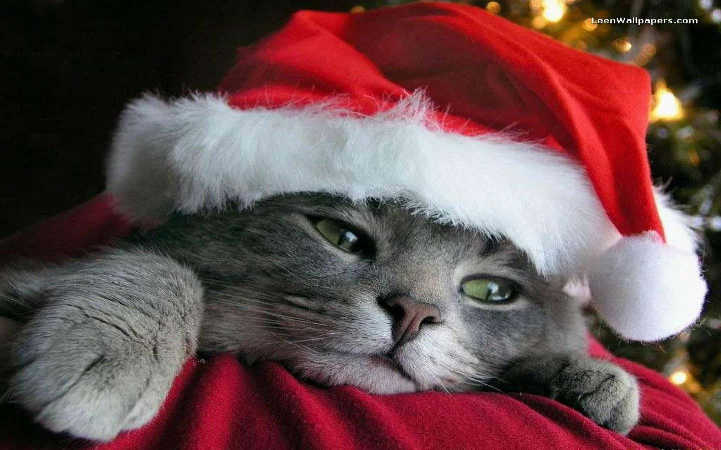 Sevimli Noel Resimleri Duvar Kağıdı