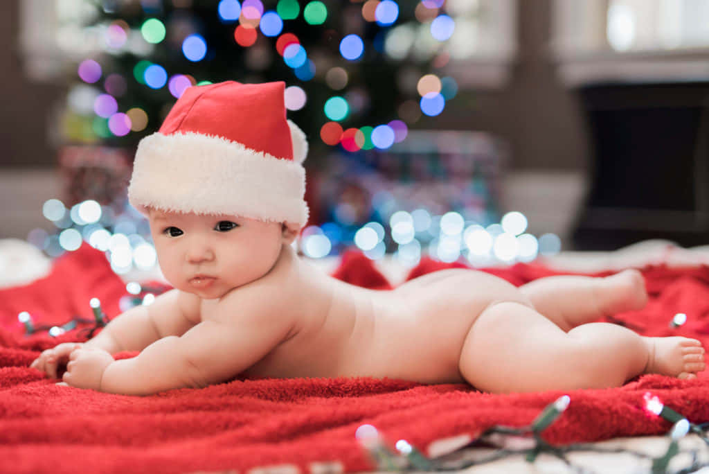 Sevimli Noel resimleri Duvar Kağıdı