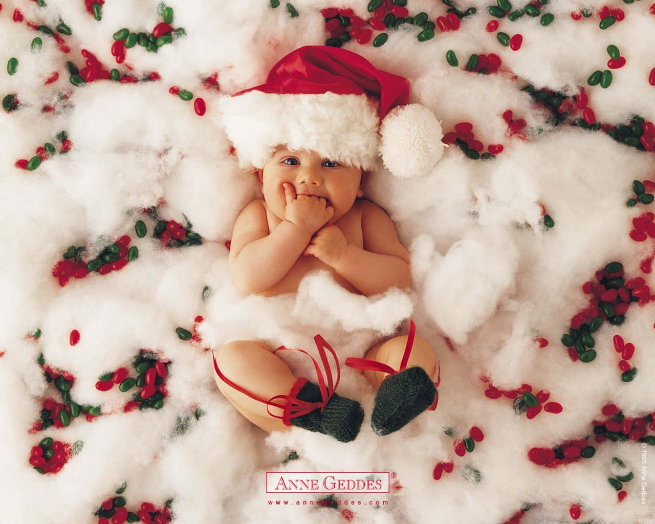 Sevimli Noel resimleri Duvar Kağıdı