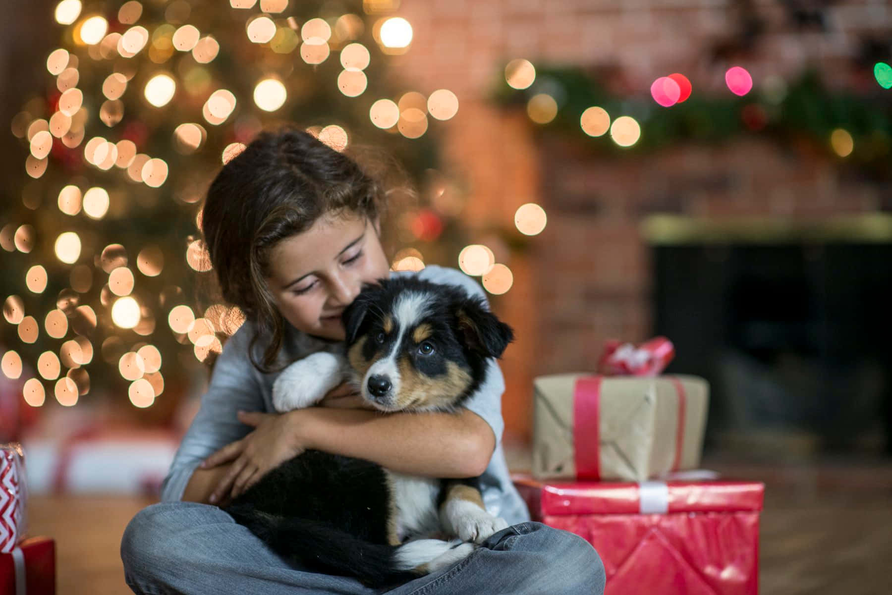 Sevimli Noel resimleri Duvar Kağıdı