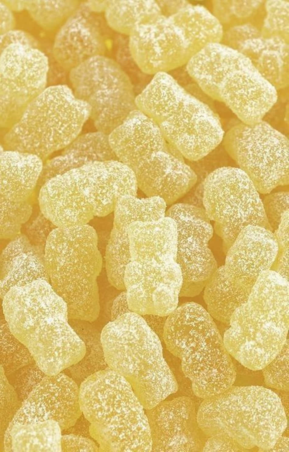 Sevimli Pastel Sarı Jibon Ayıcıklar Duvar Kağıdı