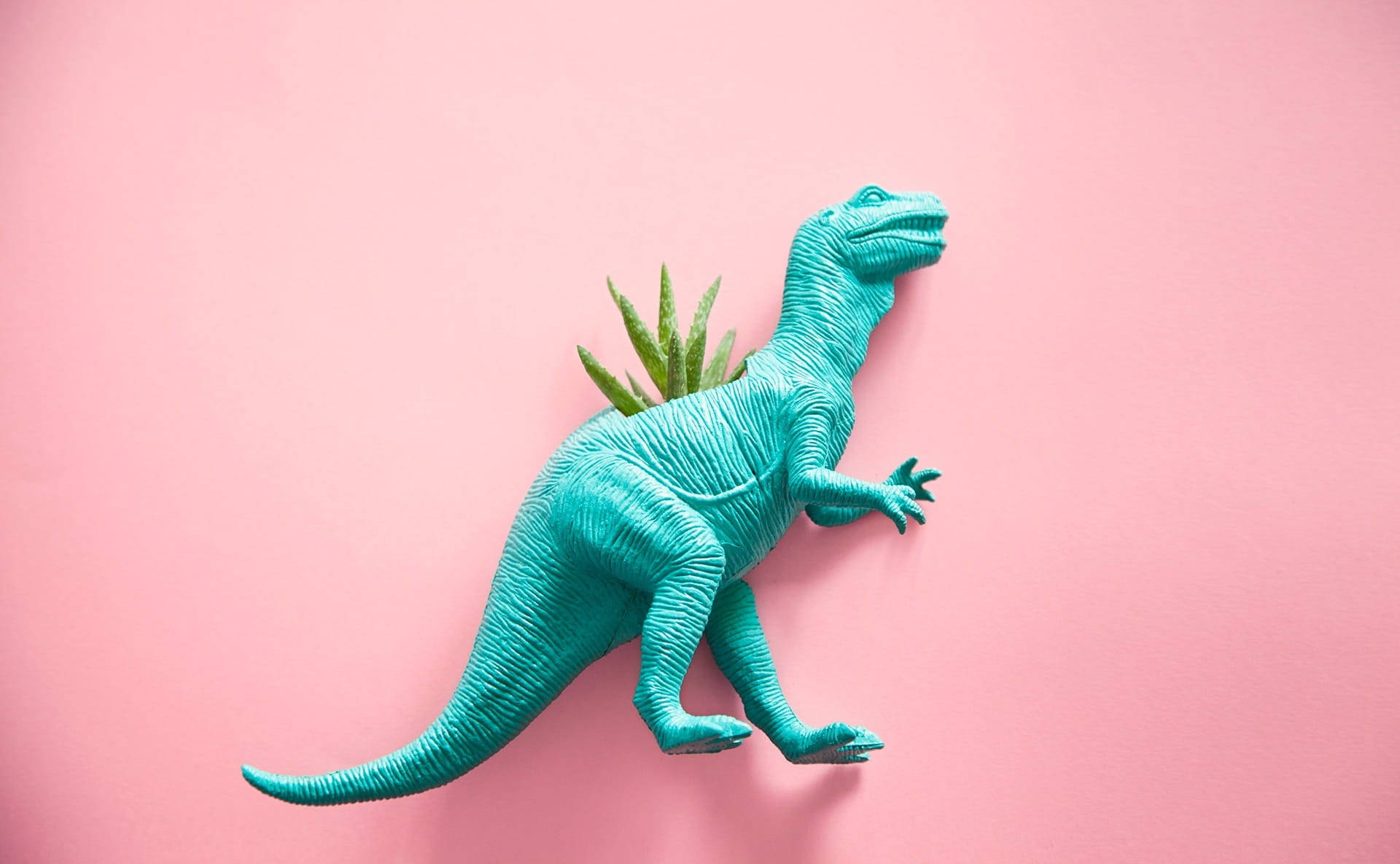 Sevimli Pembe Dinozor T-rex Bitki Duvar Kağıdı