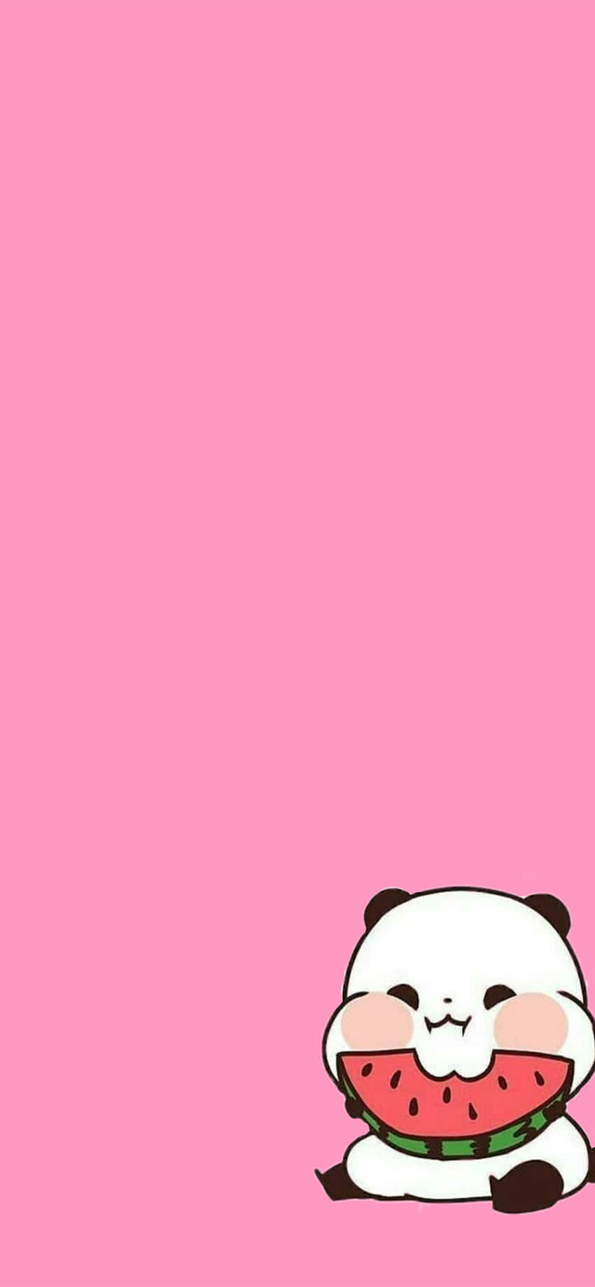 Sevimli Pembe Panda Karpuz Duvar Kağıdı