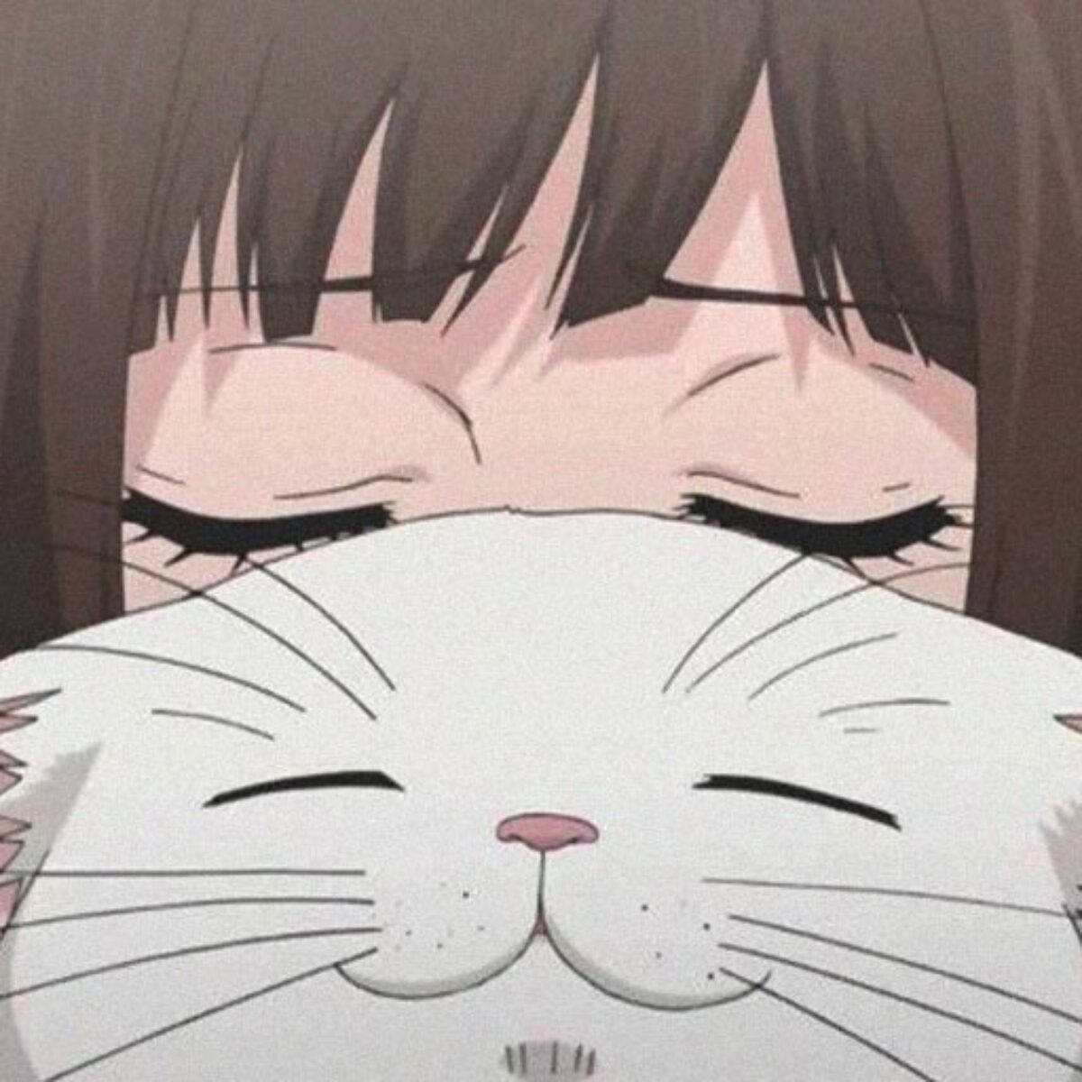 Sevimli PFP Kedi ve Anime Kız Duvar Kağıdı