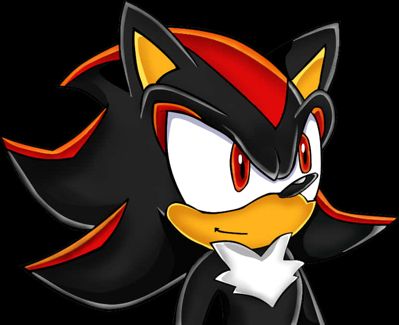 Shadow The Hedgehog Portresi Duvar Kağıdı