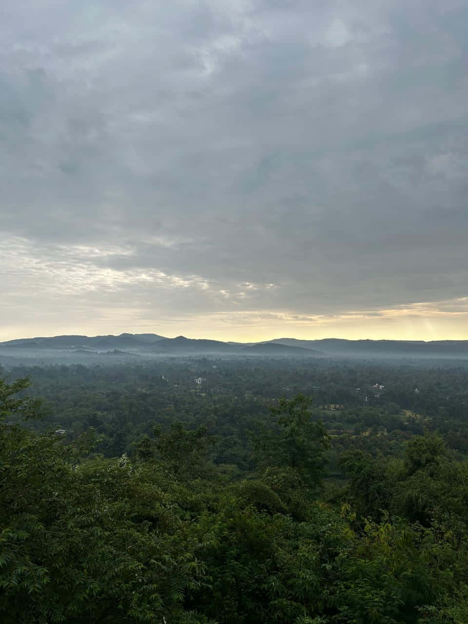 Shrimad Rajchandra Ashram'da Sabah Duvar Kağıdı