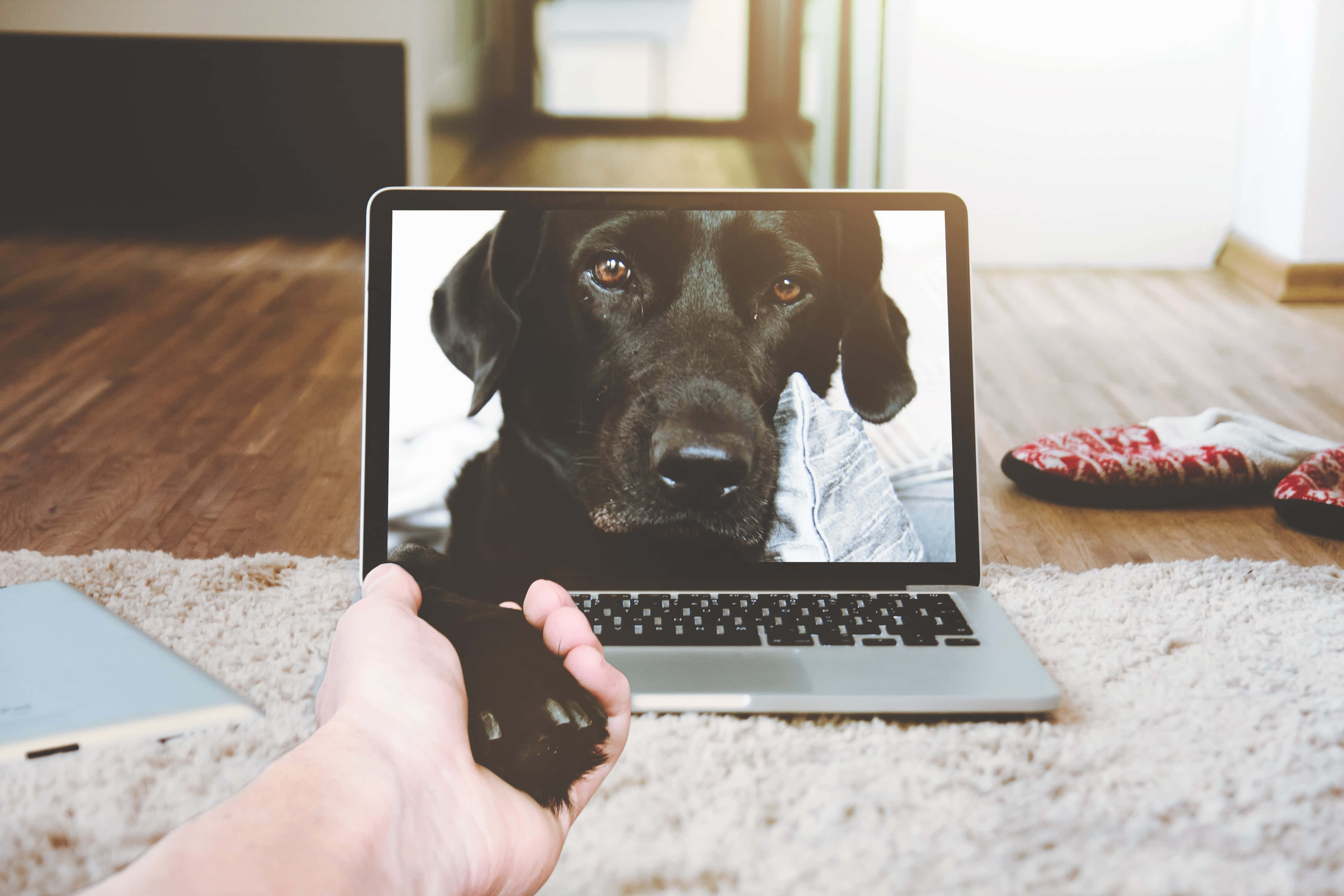 Şık ve modern gümüş bir Macbook Duvar Kağıdı