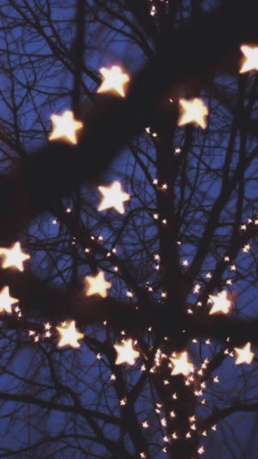 Şirin Estetik Noel Feneri Duvar Kağıdı