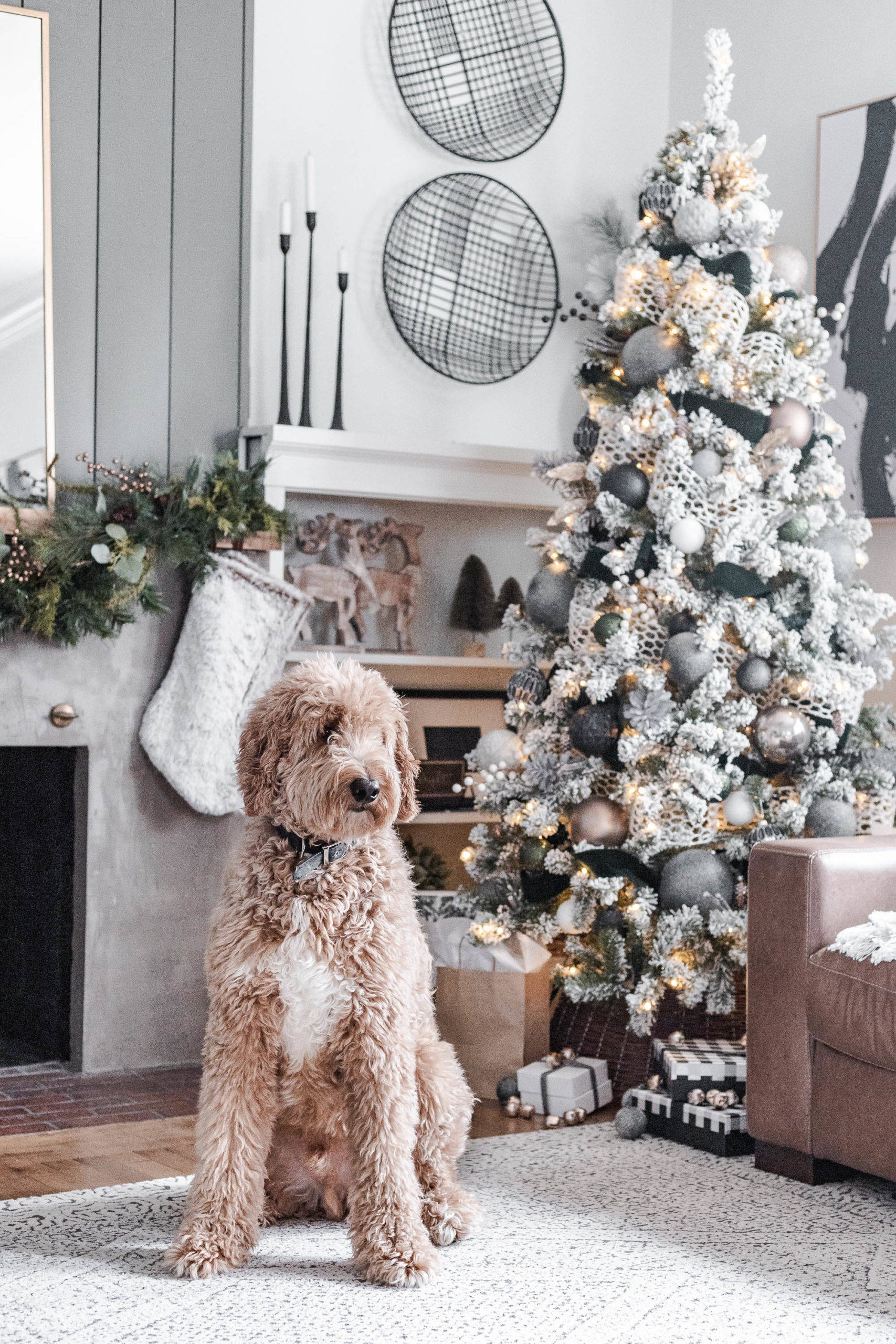 Şirin Köpekli Sıcak Noel Havası Duvar Kağıdı