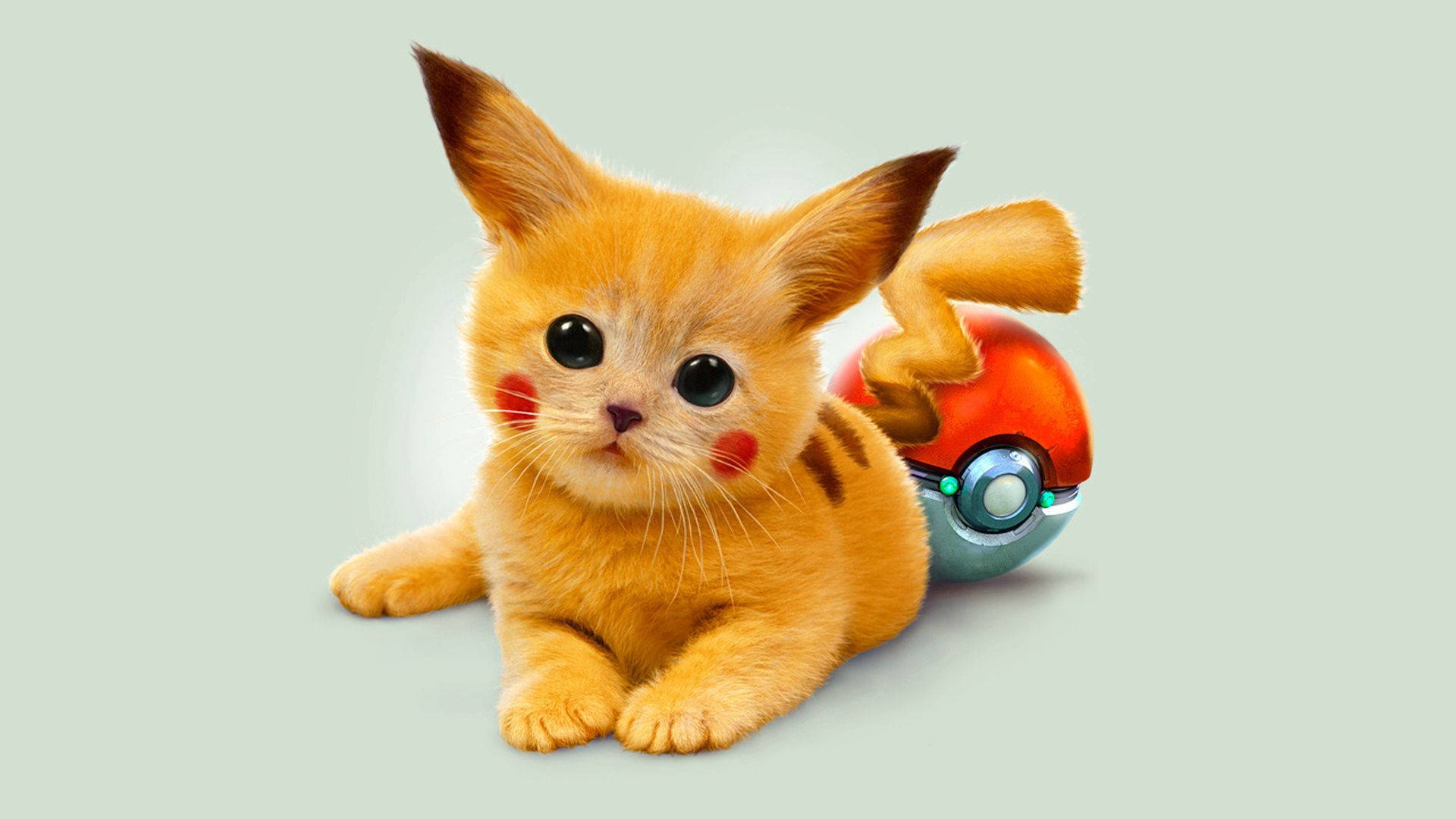 Şirin ve Sevimli Pikachu Kedi Duvar Kağıdı
