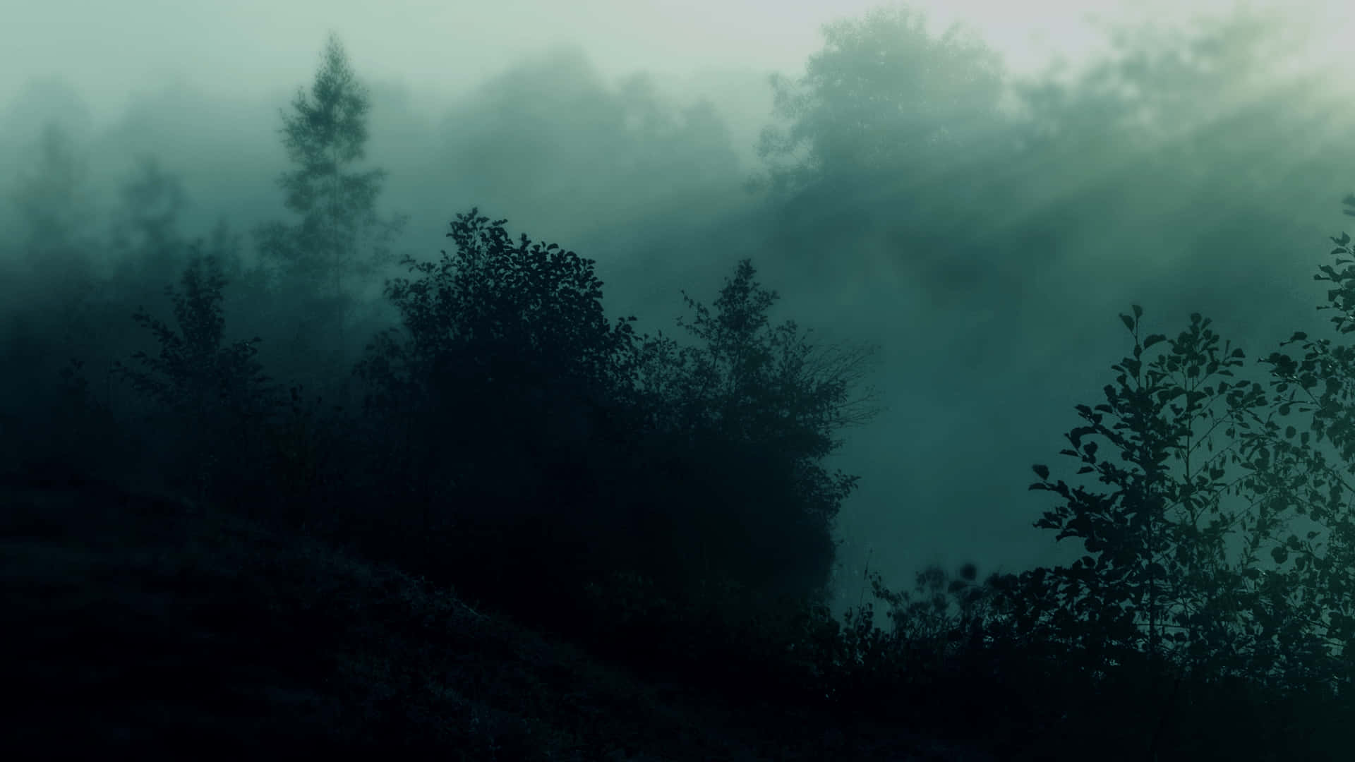 sis duvar kağıtları HD Duvar Kağıdı