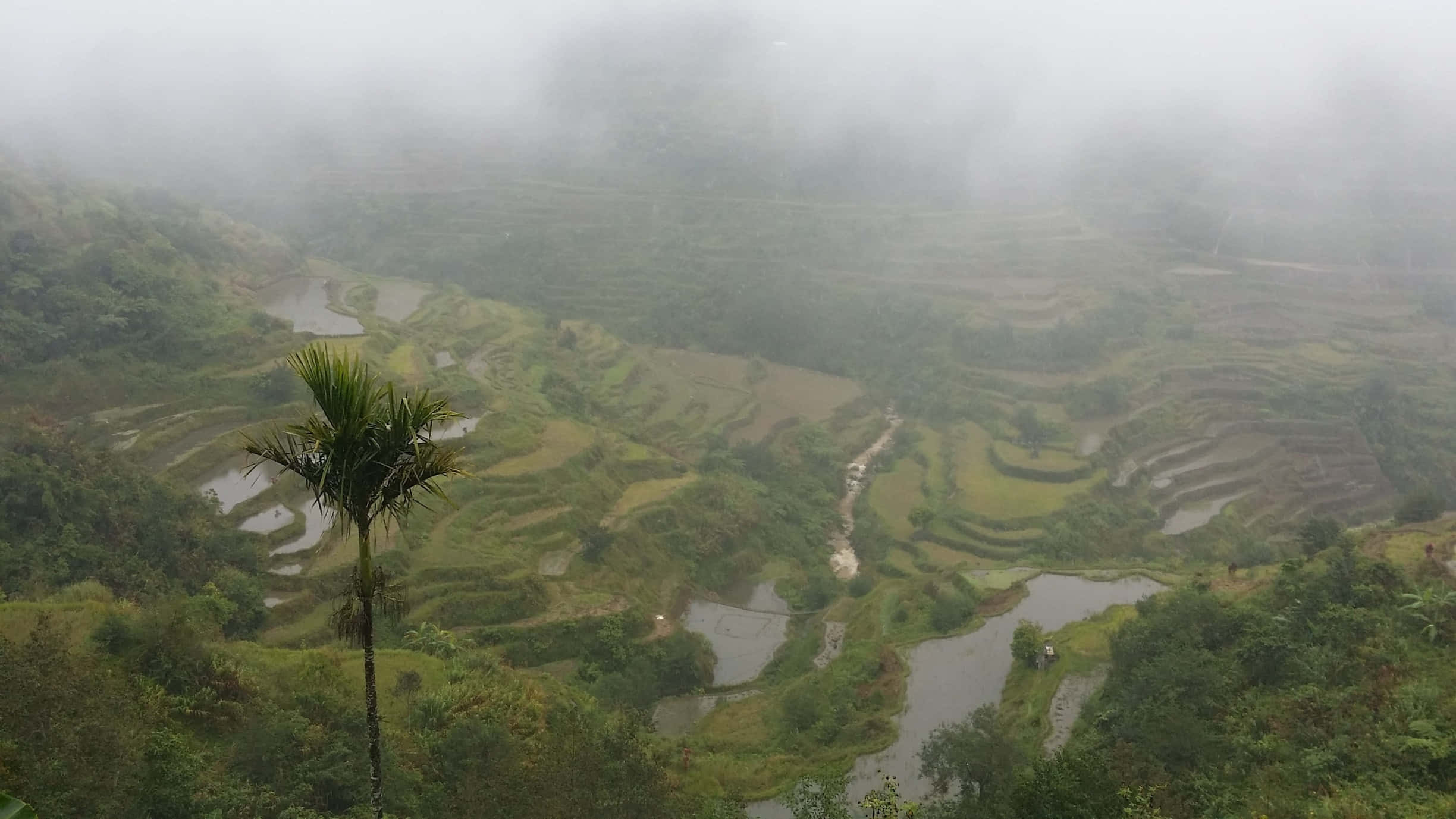 Sisli Banaue Pirinç Terasları Filipinler'de Duvar Kağıdı