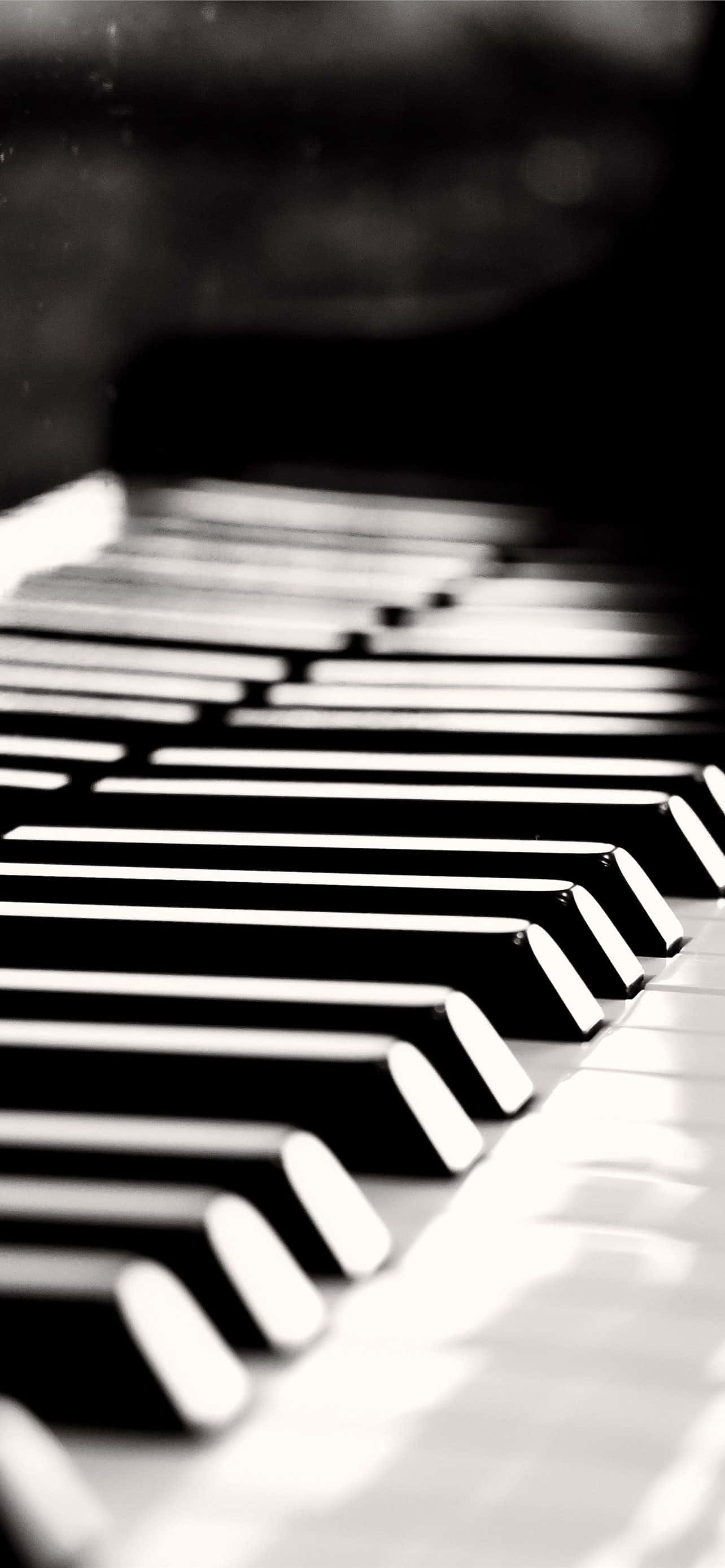 Siyah Beyaz Piyano Müzik Aleti Duvar Kağıdı