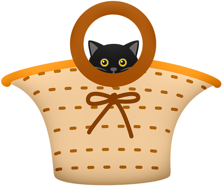 Siyah Kedi Sepet Grafiği Duvar Kağıdı