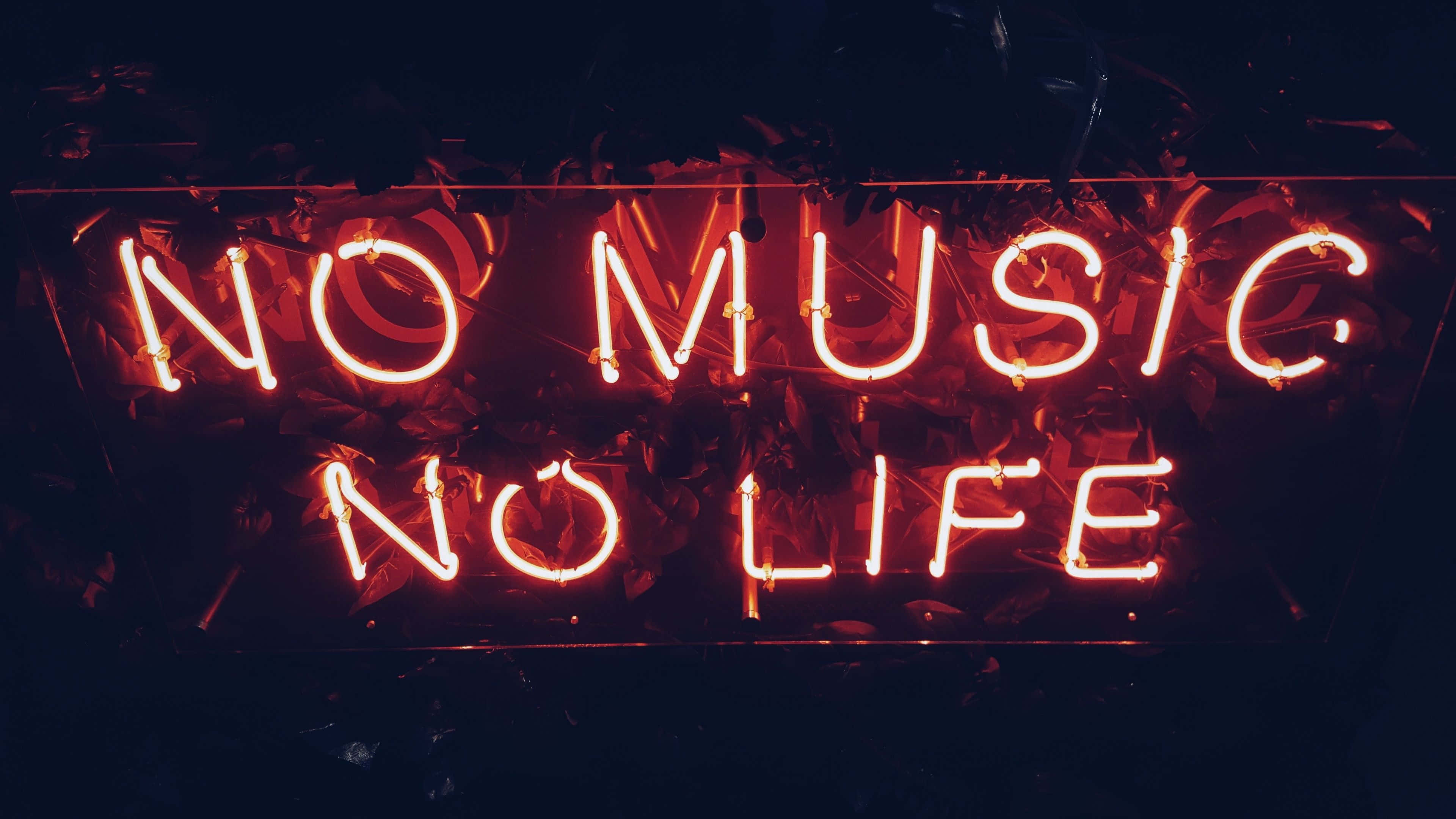 Siyah Kırmızı Neon Müzik Yok Hayat Yok Duvar Kağıdı