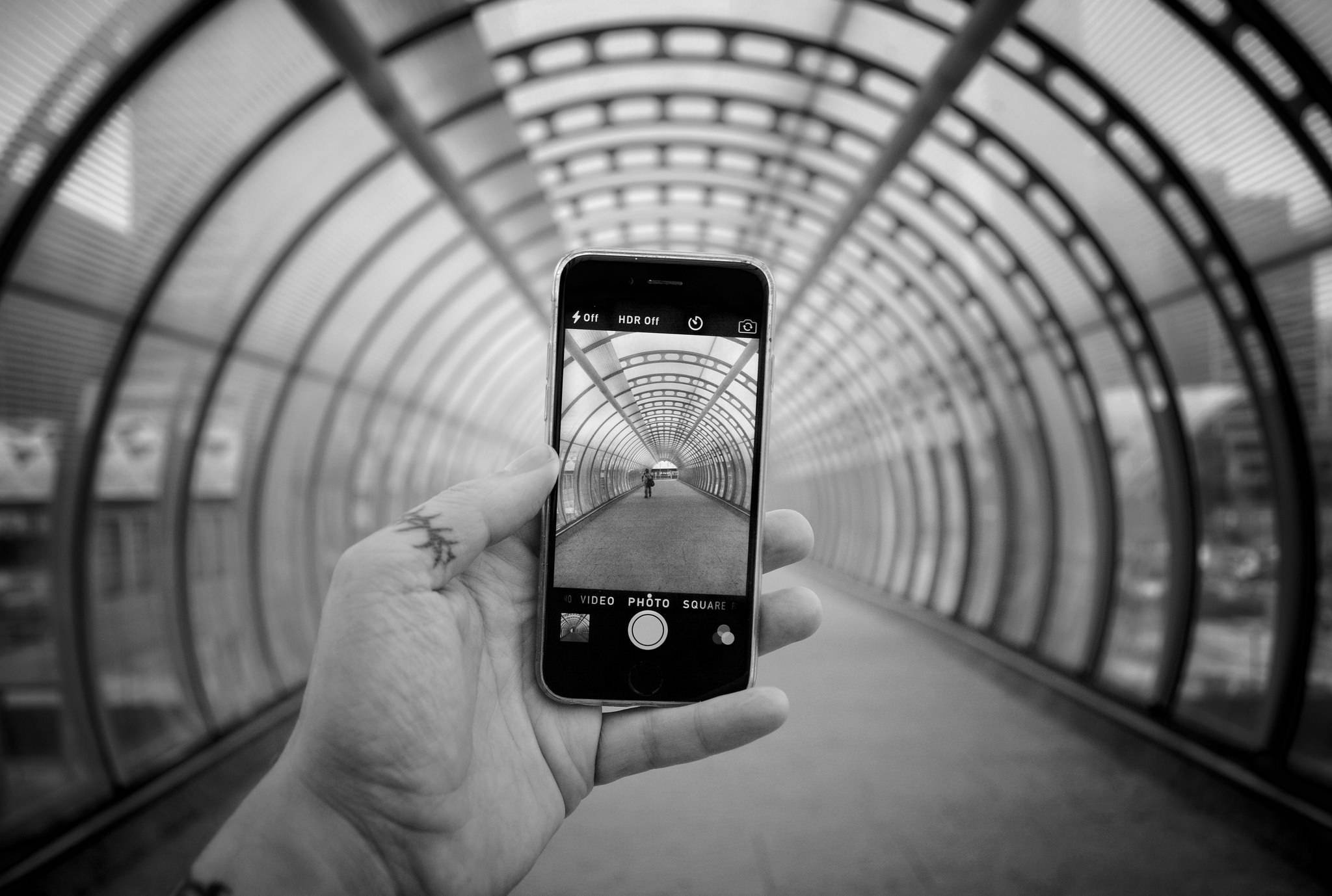 Şık Gümüş iPhone Sakin Bir Çiçek Arka Planında Sergileniyor Duvar Kağıdı