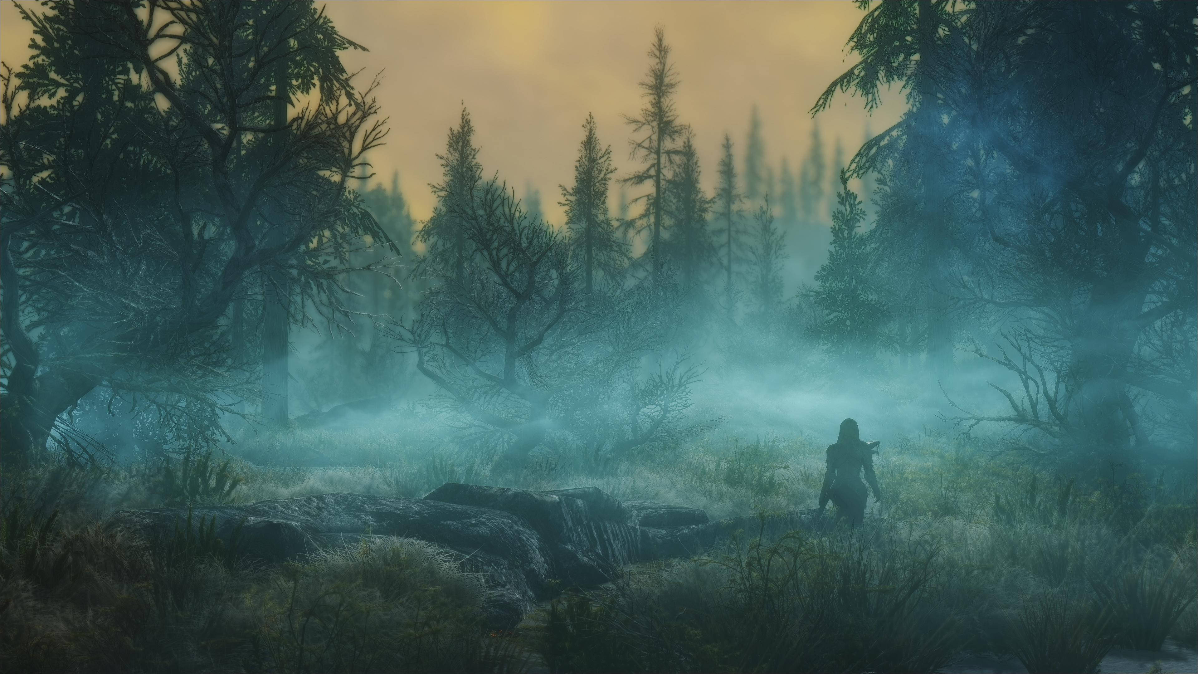 Skyrim Ultra HD Sisi Karanlık Orman Duvar Kağıdı