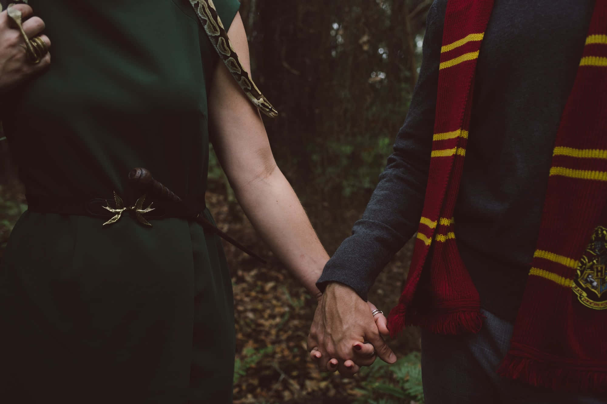 Slytherin Estetiğine Hoş Geldiniz, İçinizdeki Yılanı Kucaklayın! Duvar Kağıdı