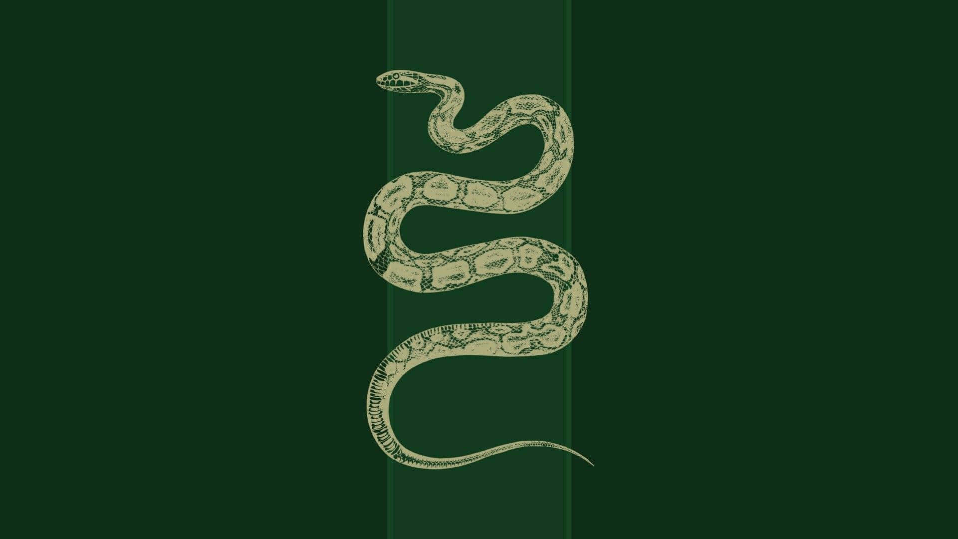 Slytherin Yatak Odası Estetiği Duvar Kağıdı