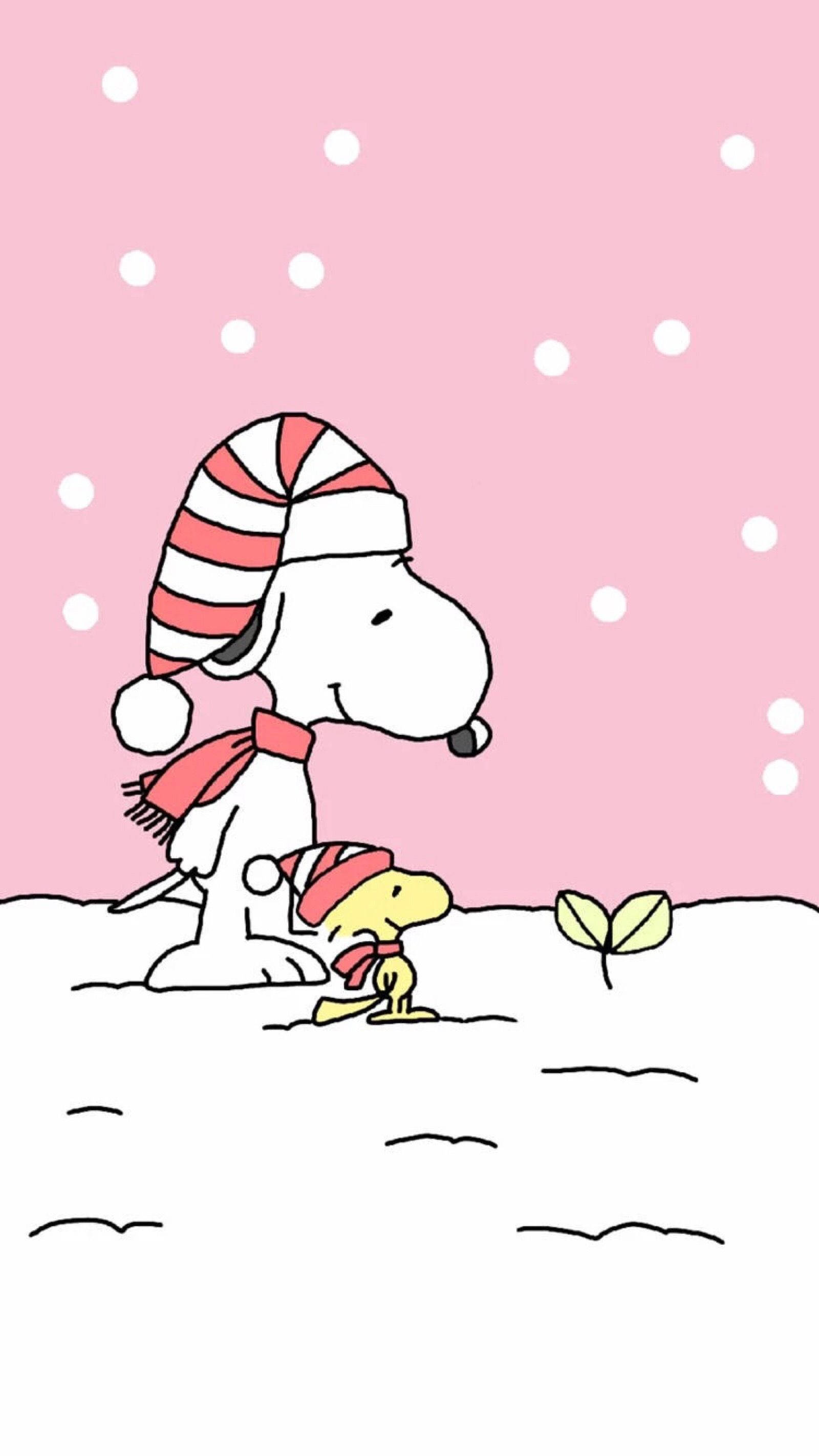 Snoopy Noel Bitkisi Duvar Kağıdı