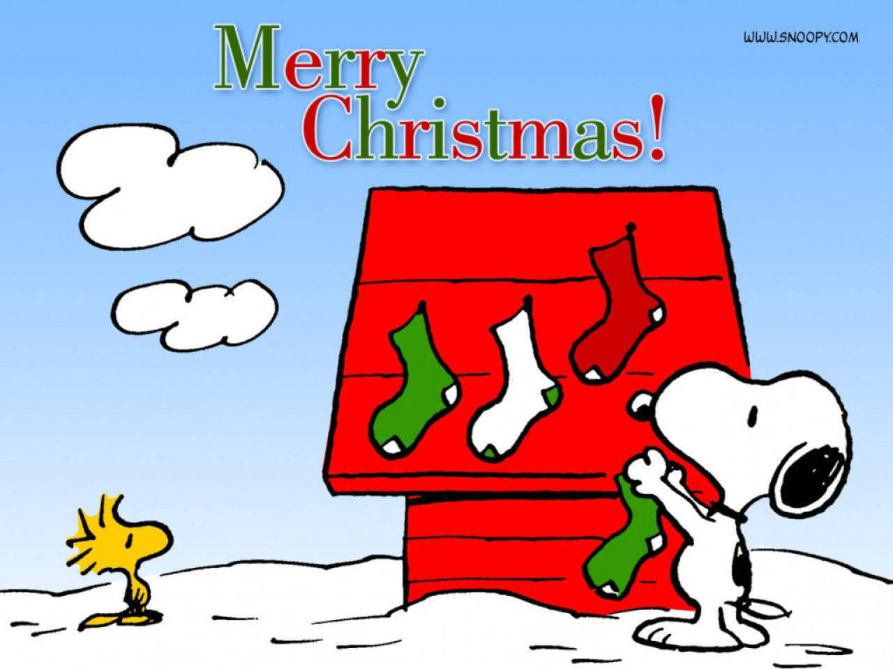 Snoopy Noel Evi Çorapları Duvar Kağıdı
