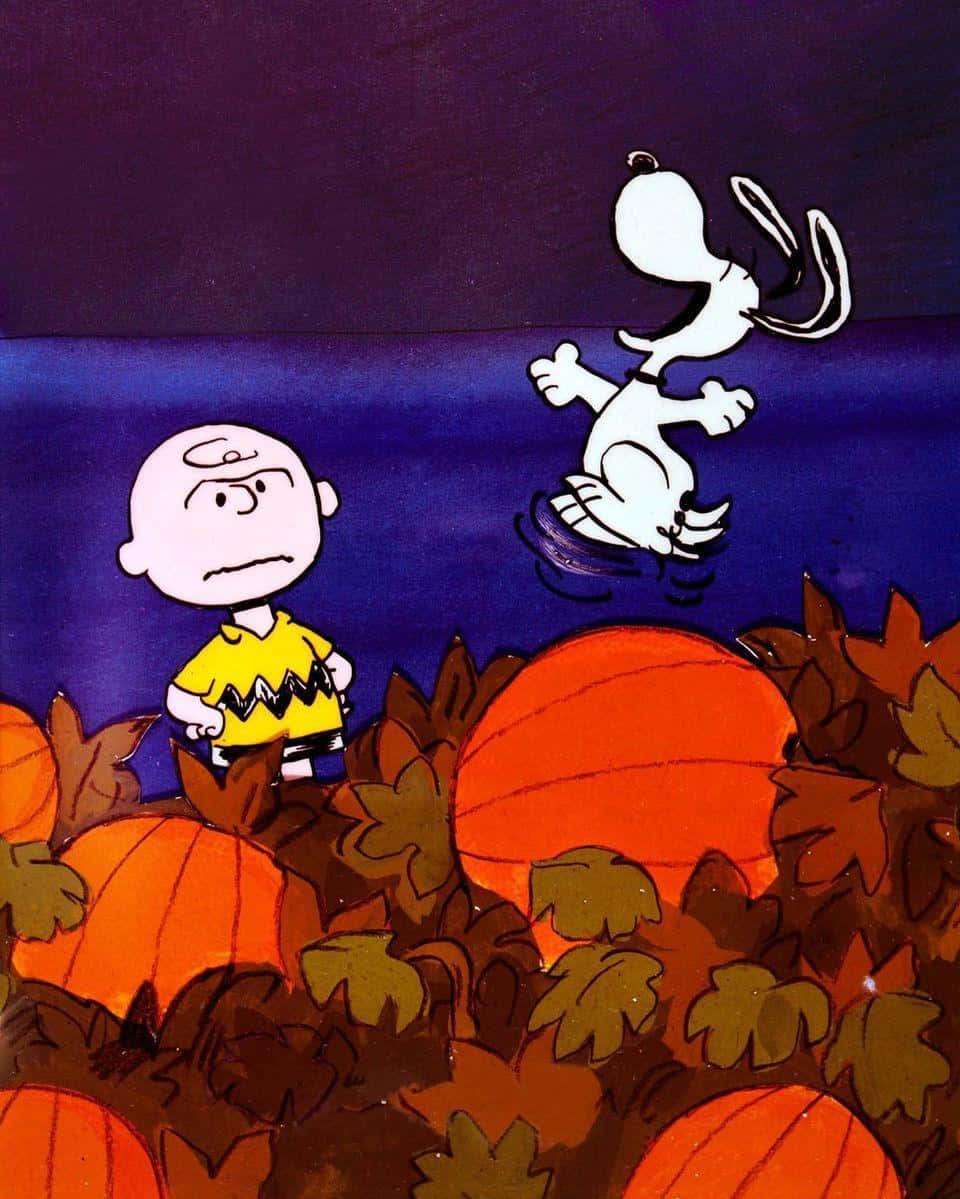 snoopy ve fıstık çetesi balkabağı tarlasında Duvar Kağıdı