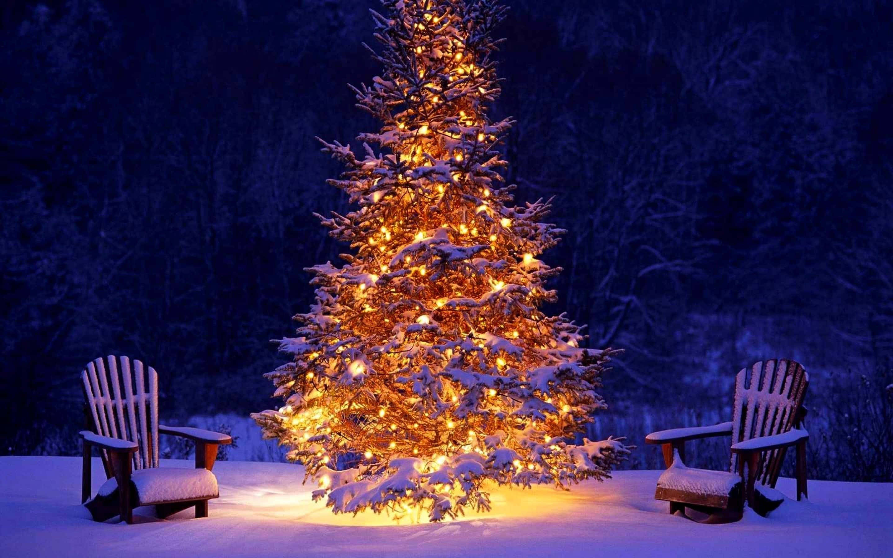 Soğuk Bir Noel Arifesinde Ağaç ve Sandalyeler Duvar Kağıdı
