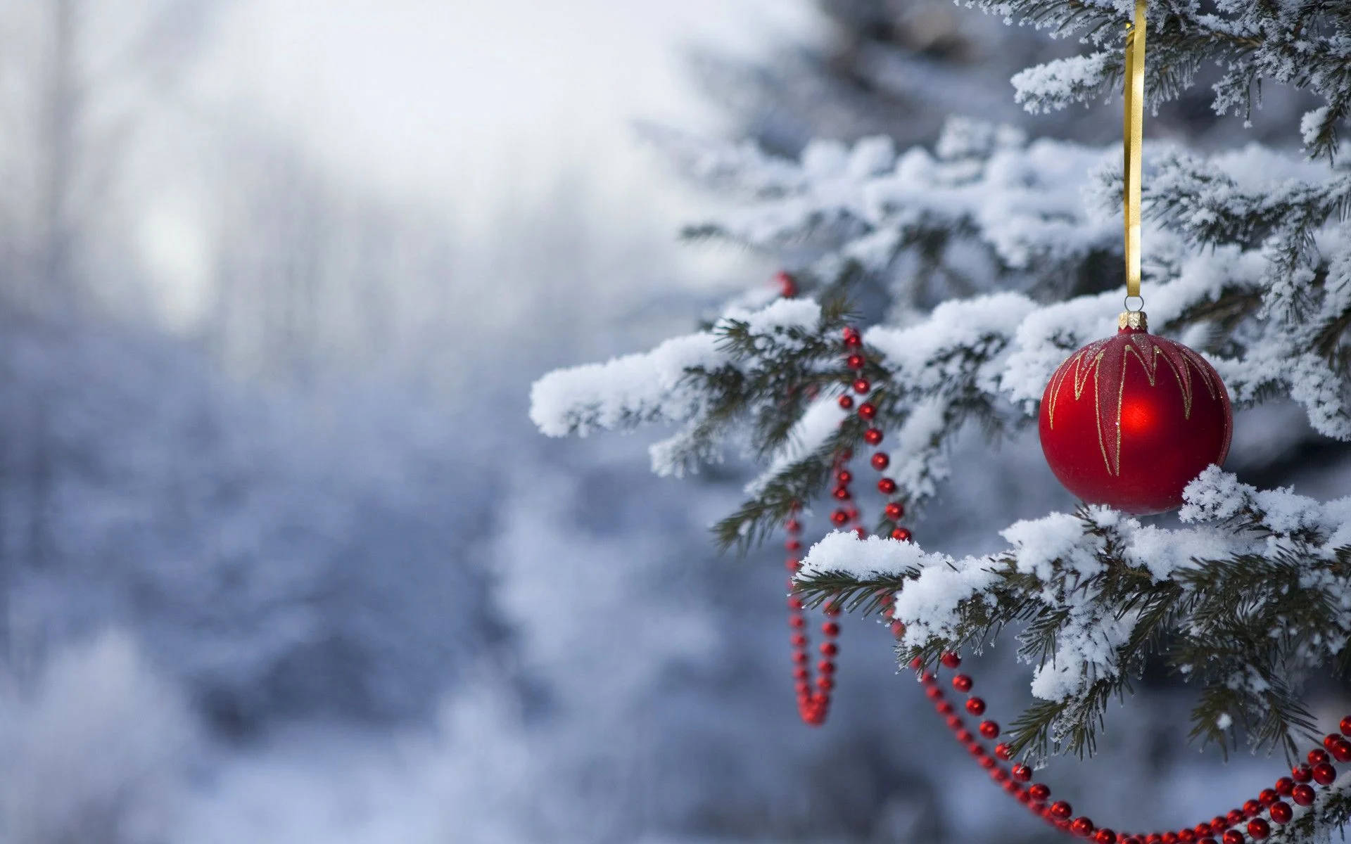 Soğuk Dış Mekan Serin Noel Masaüstü Duvar Kağıdı