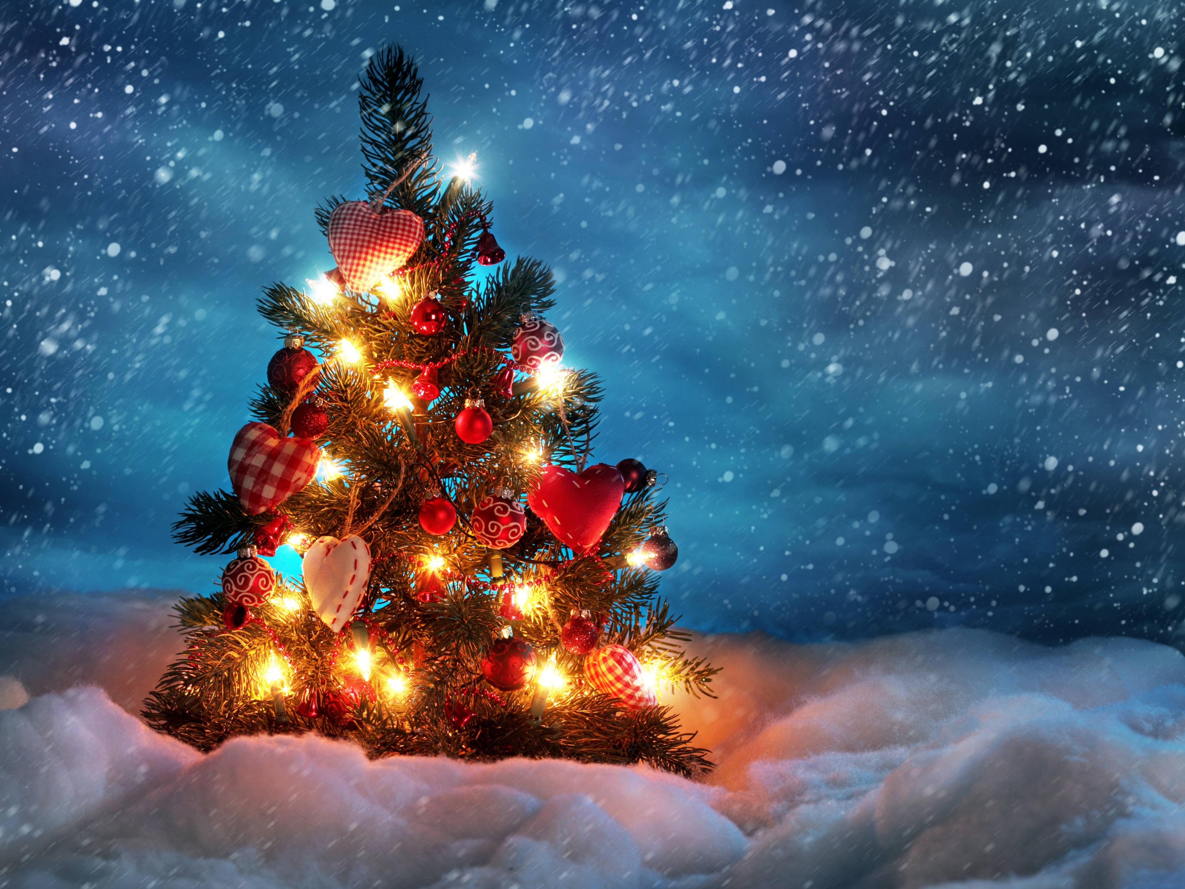 Soğuk Karlı Noel Ağacı Masaüstü Görüntüsü Duvar Kağıdı