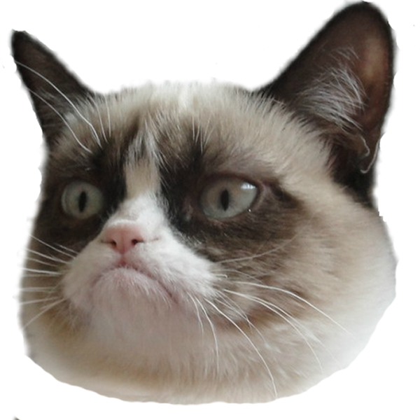 Somurtkan Kedi Kafası Şeffaf Arka Plan.PNG Duvar Kağıdı