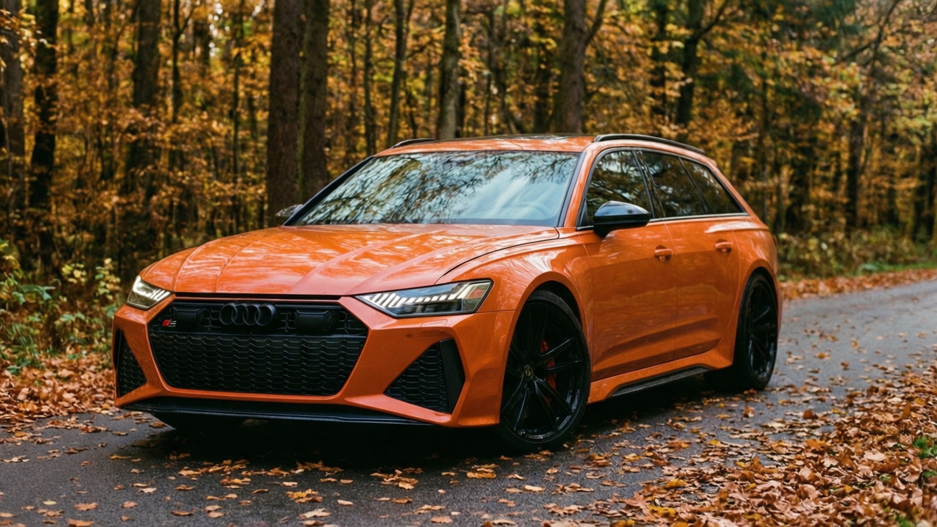 Turuncu bir Audi RS6 Avant, sonbahar orman yolunda dökülen yapraklarla birlikte.